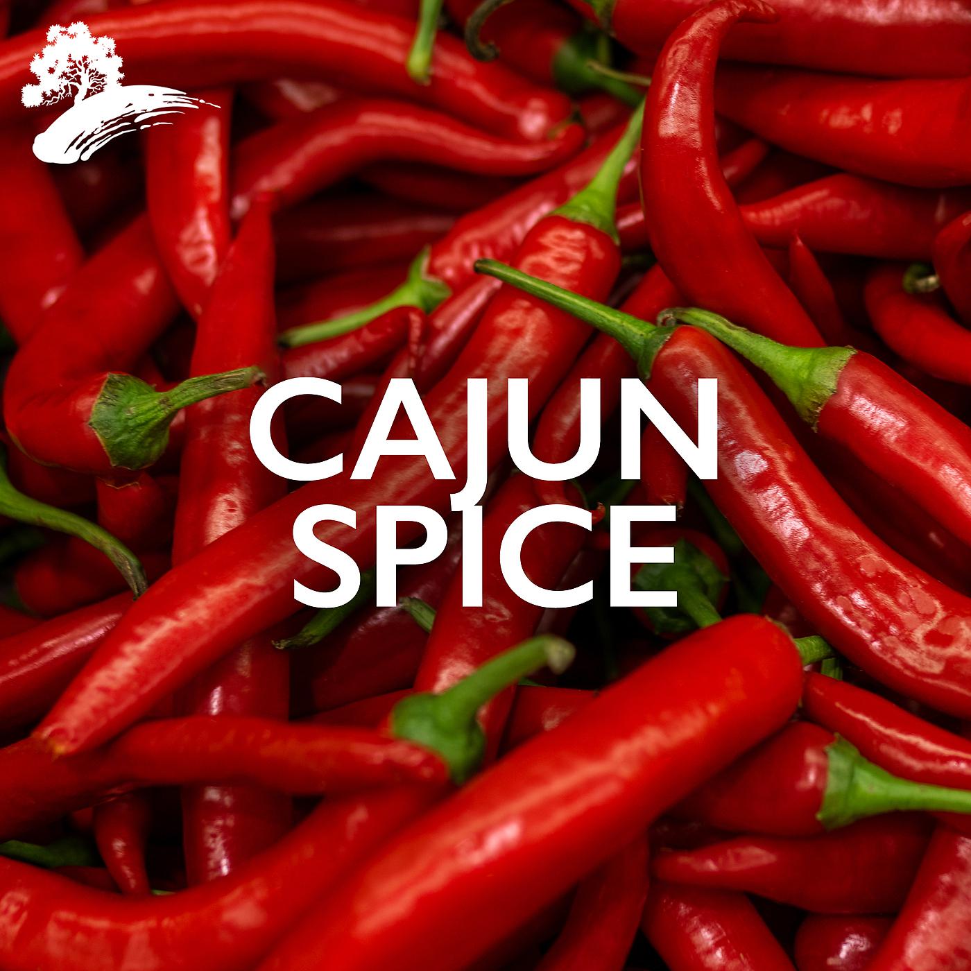 Постер альбома Cajun Spice