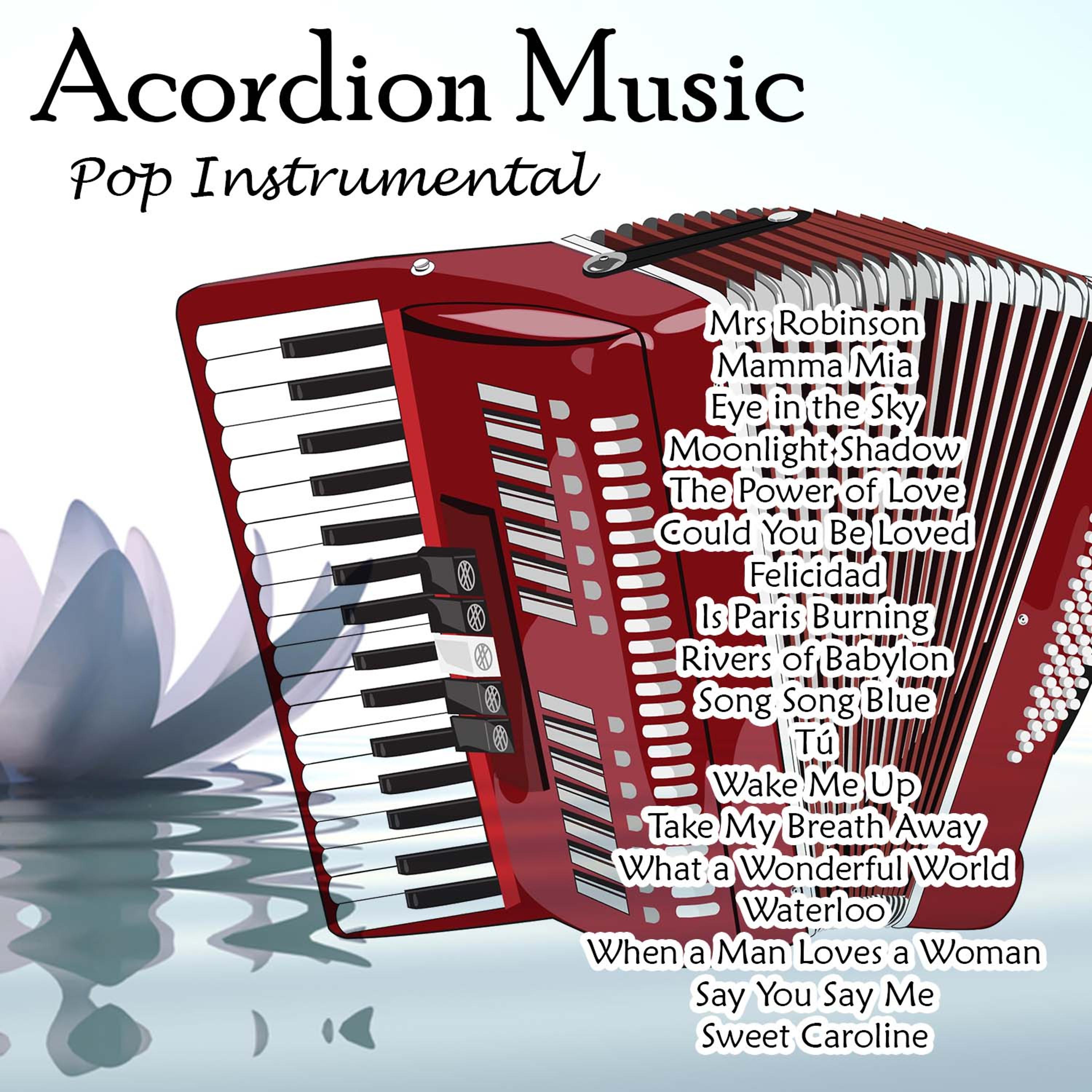 Постер альбома Acordion Music - Pop Instrumental