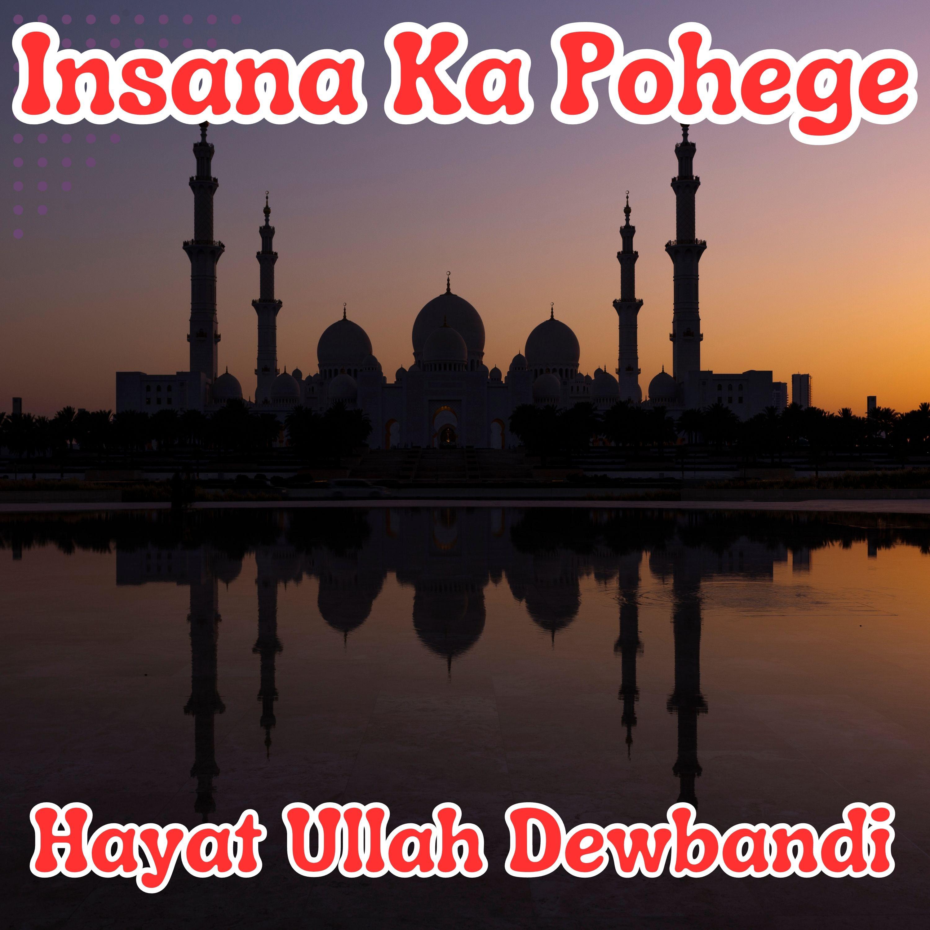Постер альбома Insana Ka Pohege