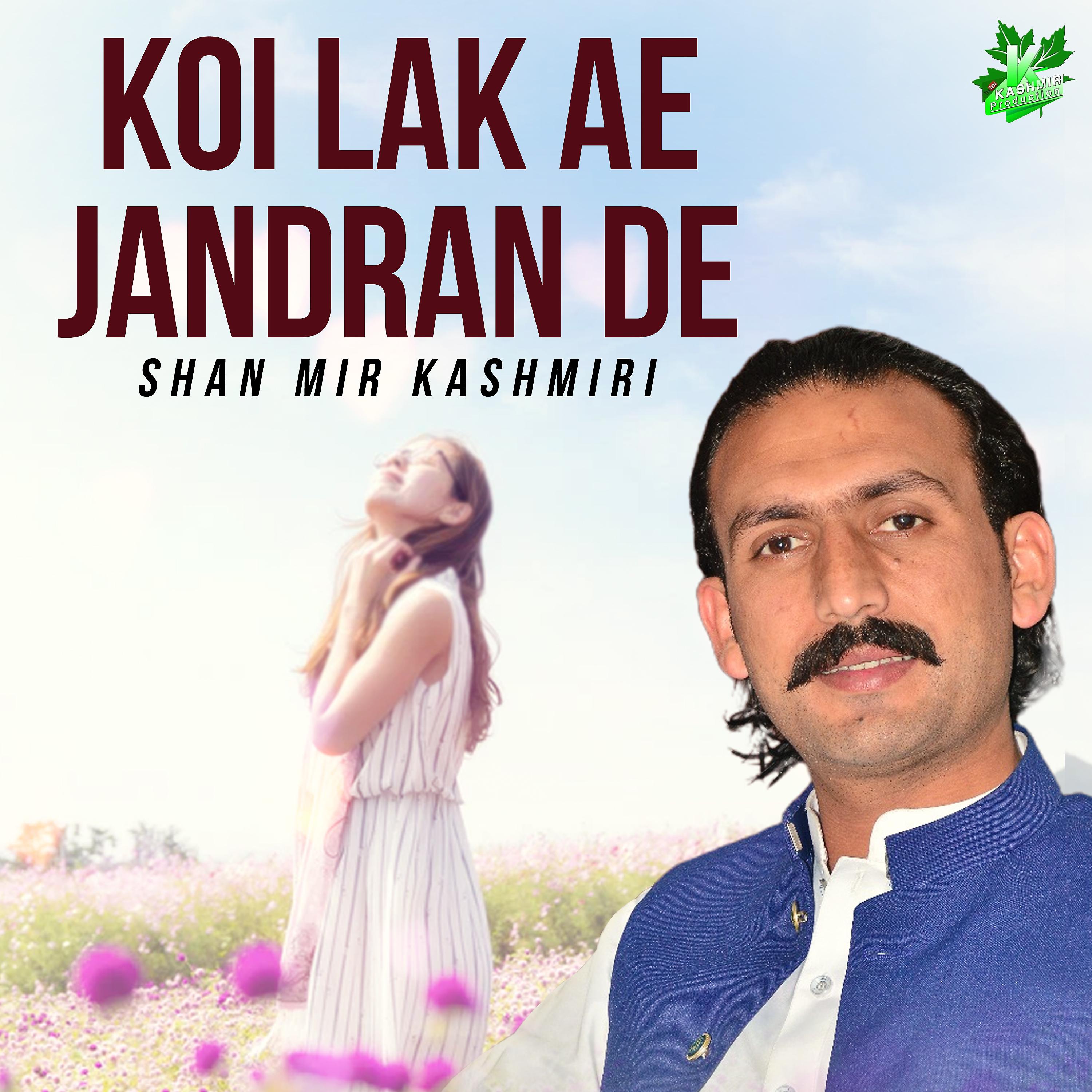 Постер альбома Koi Lak Ae Jandran De - Single