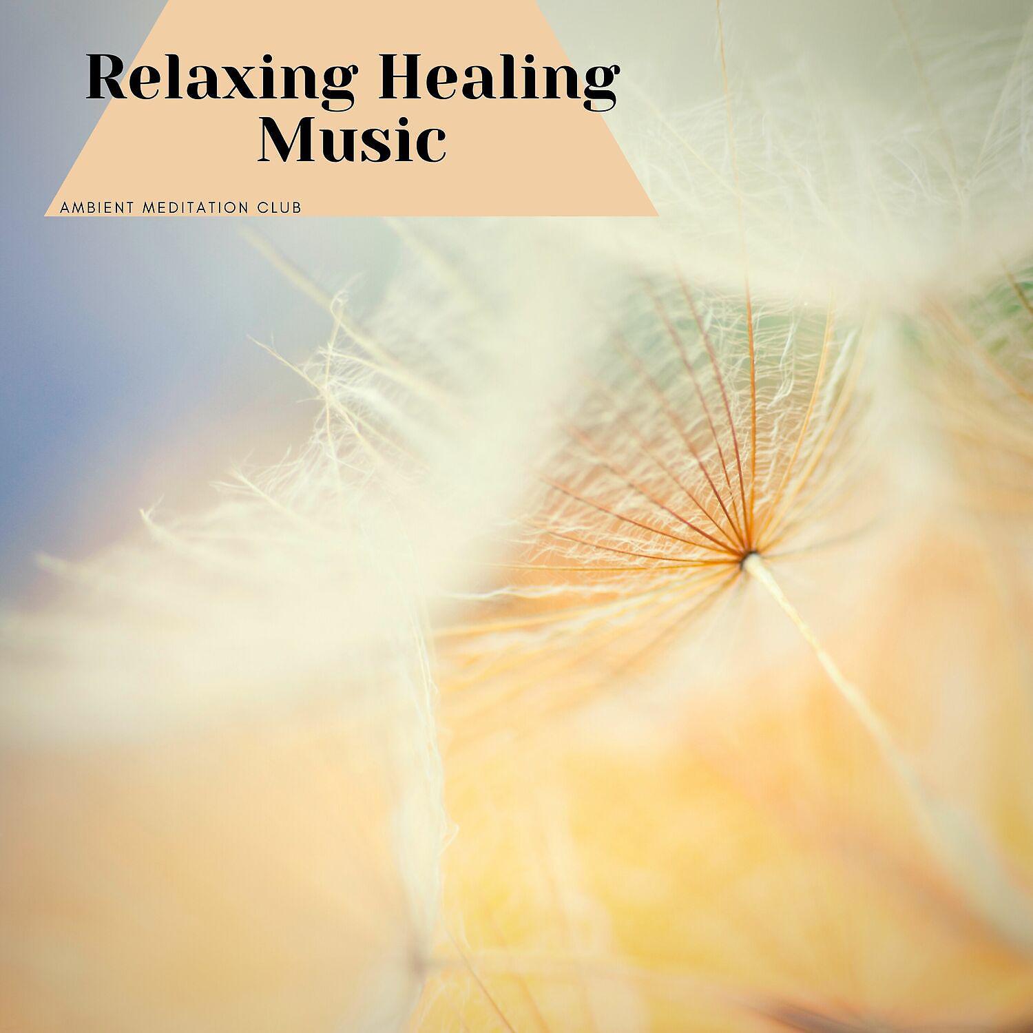 Постер альбома Relaxing Healing Music for Mental Health