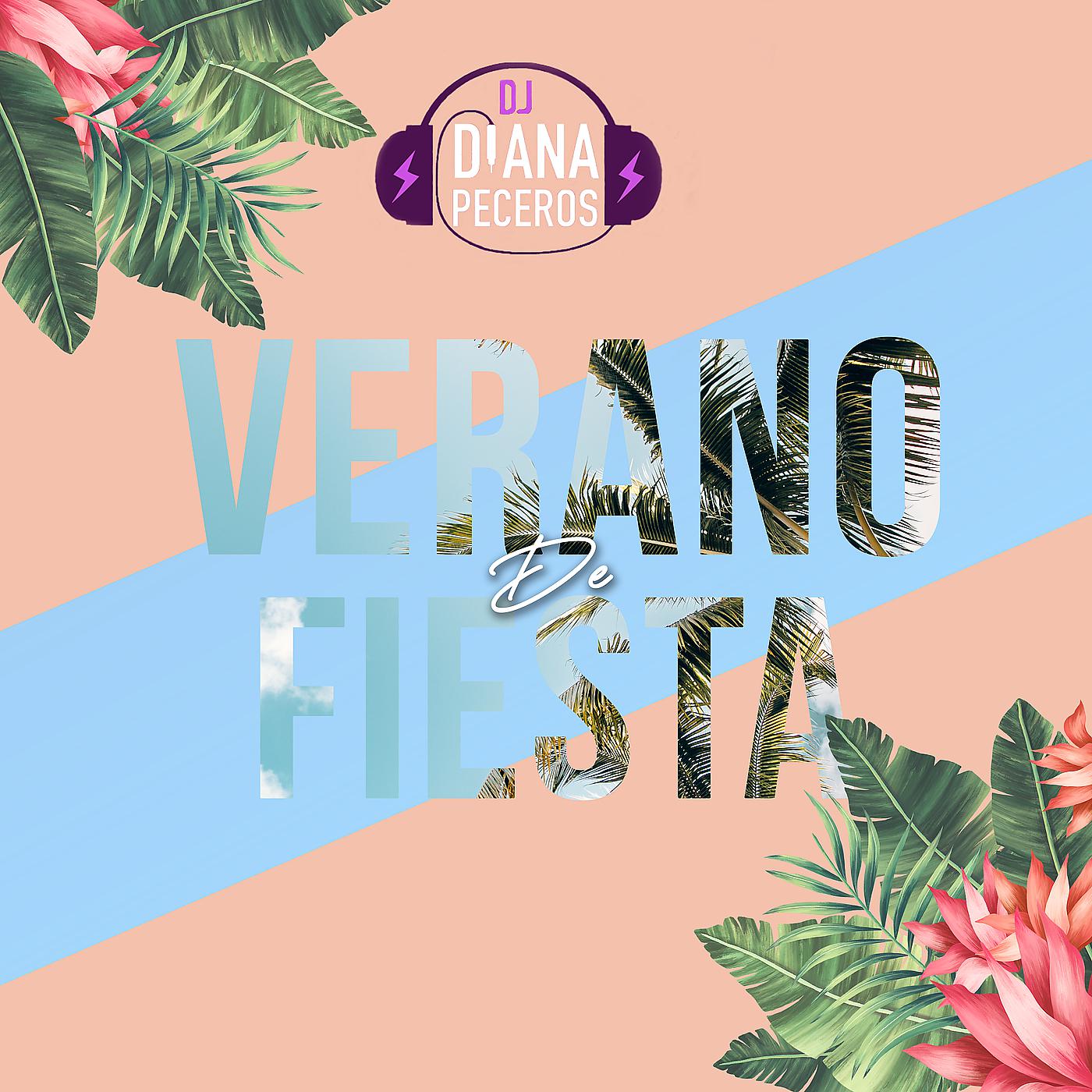 Постер альбома Verano De Fiesta