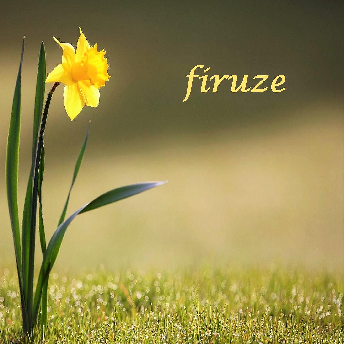 Постер альбома Firuze