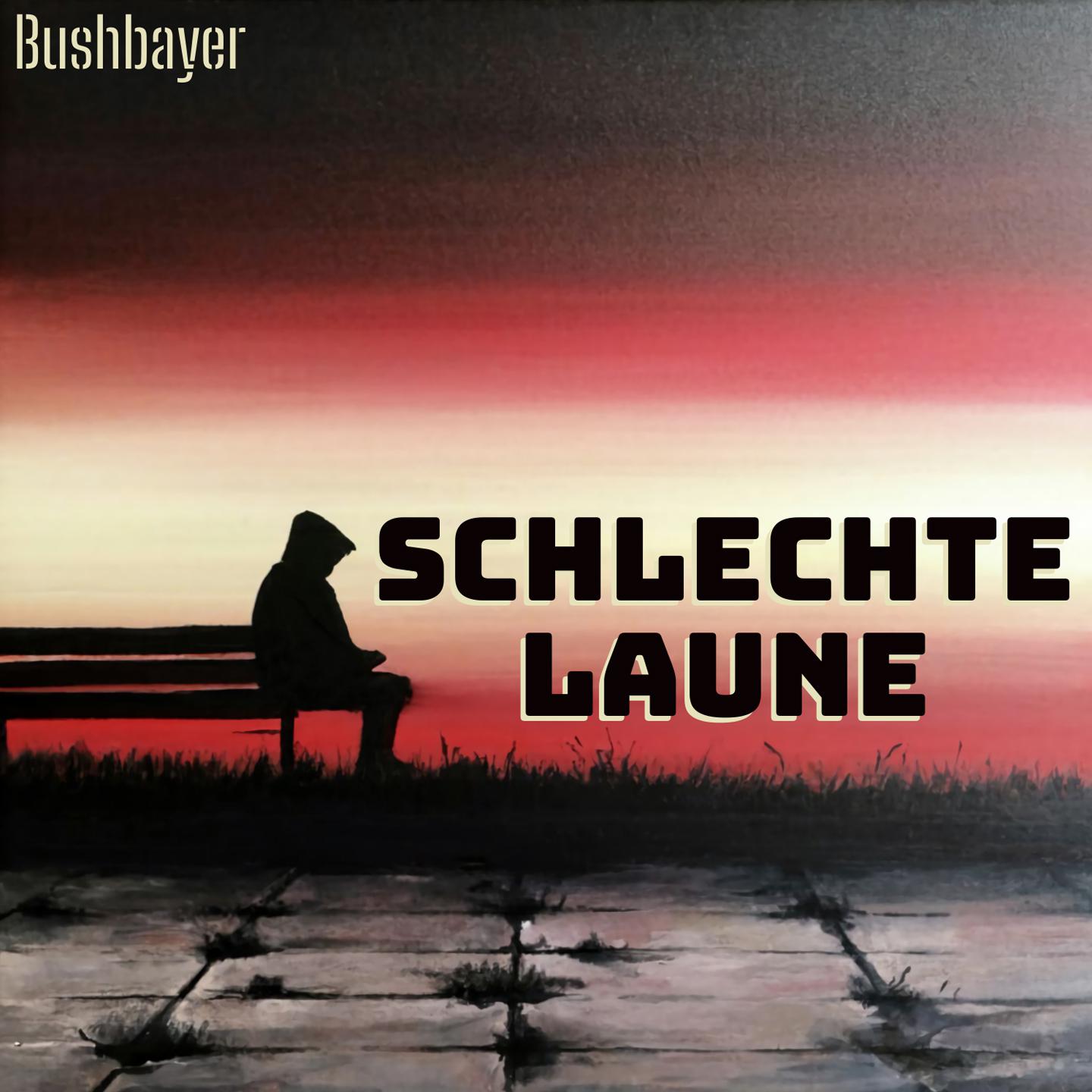 Постер альбома Schlechte Laune
