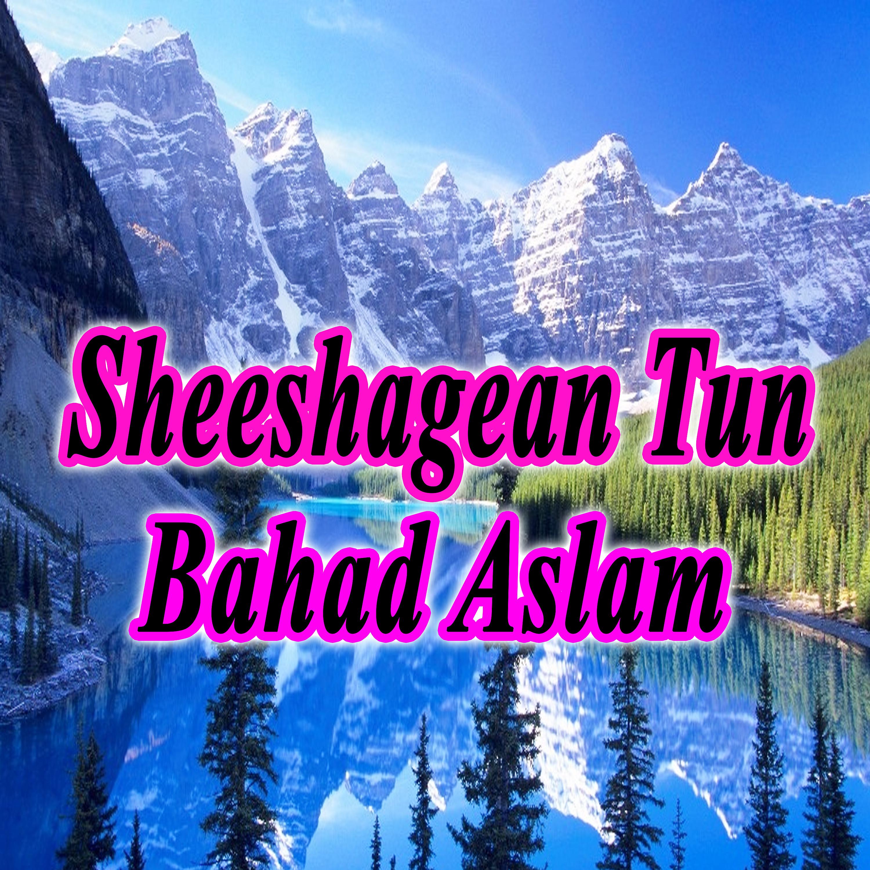 Постер альбома Sheeshagean Tun