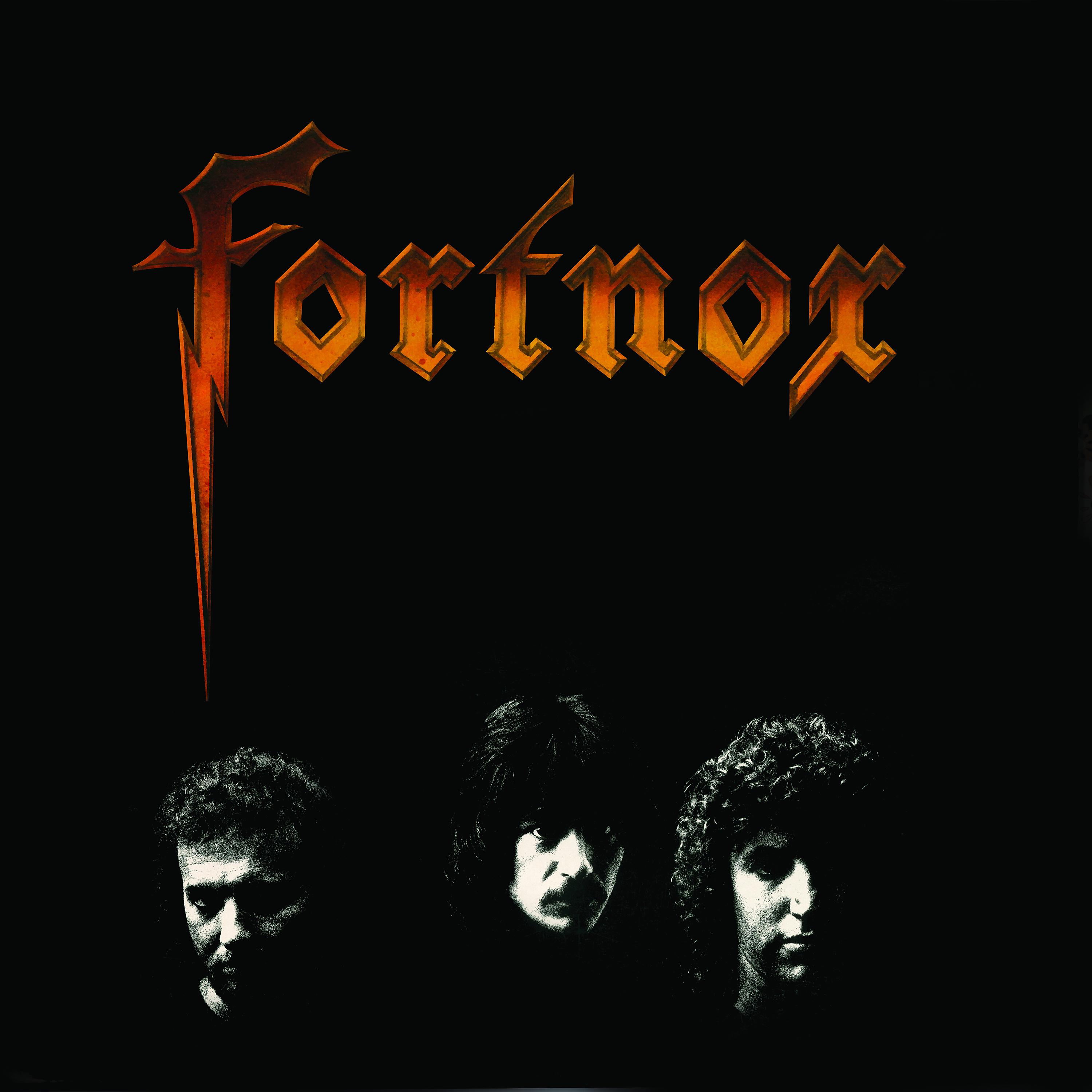 Постер альбома Fortnox