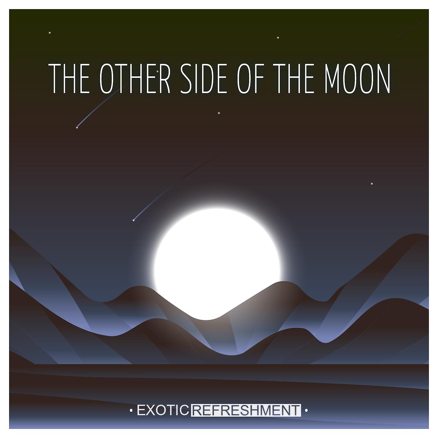 Постер альбома The Other Side Of The Moon