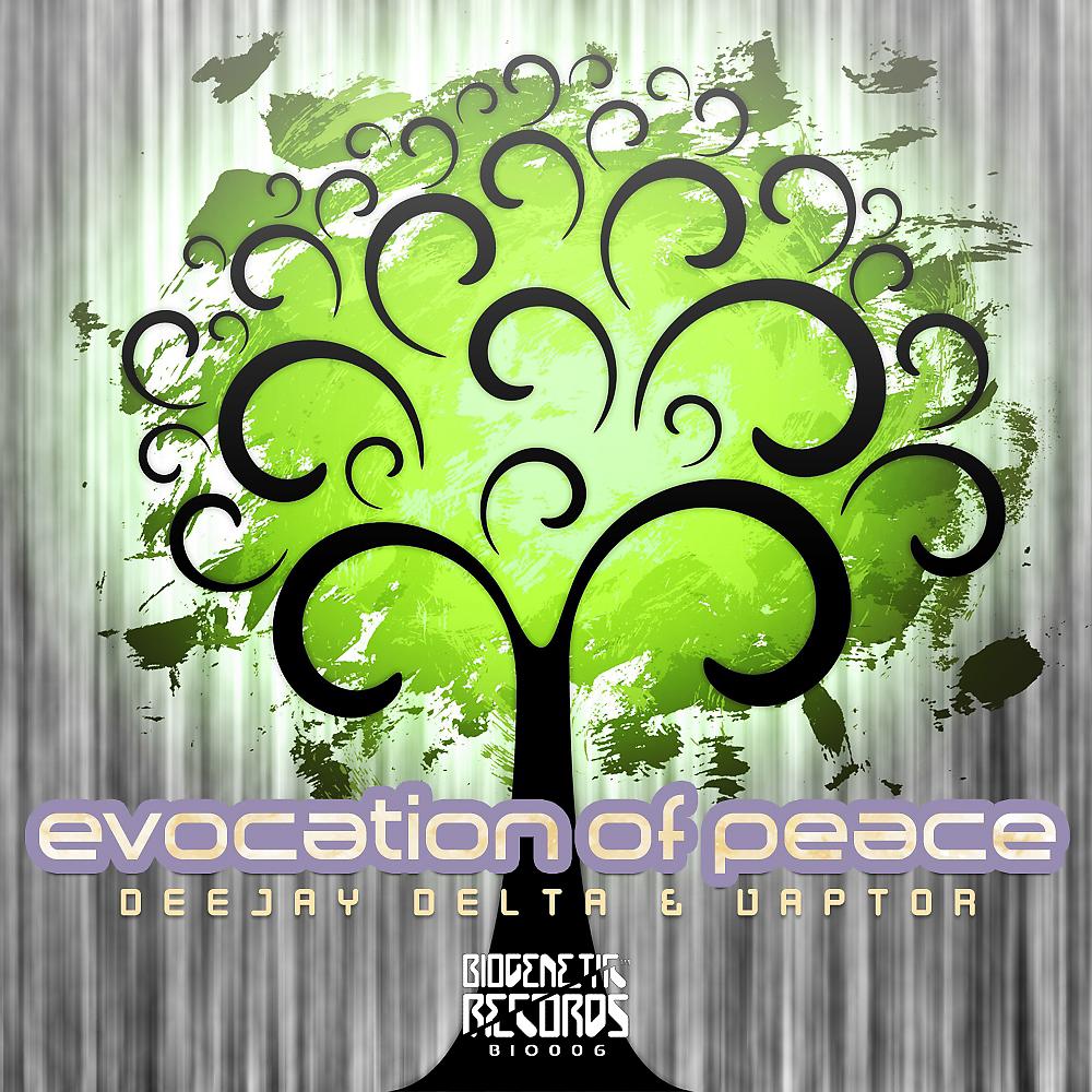 Постер альбома Evocation Of Peace