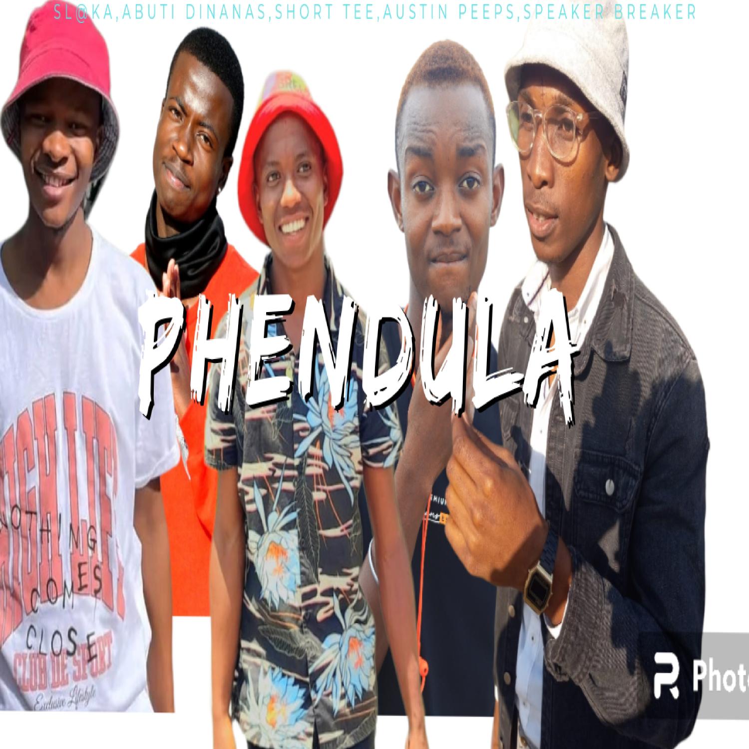 Постер альбома Phendula