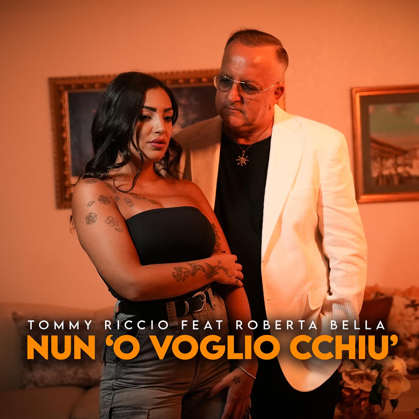 Постер альбома Nun ò voglio cchiù