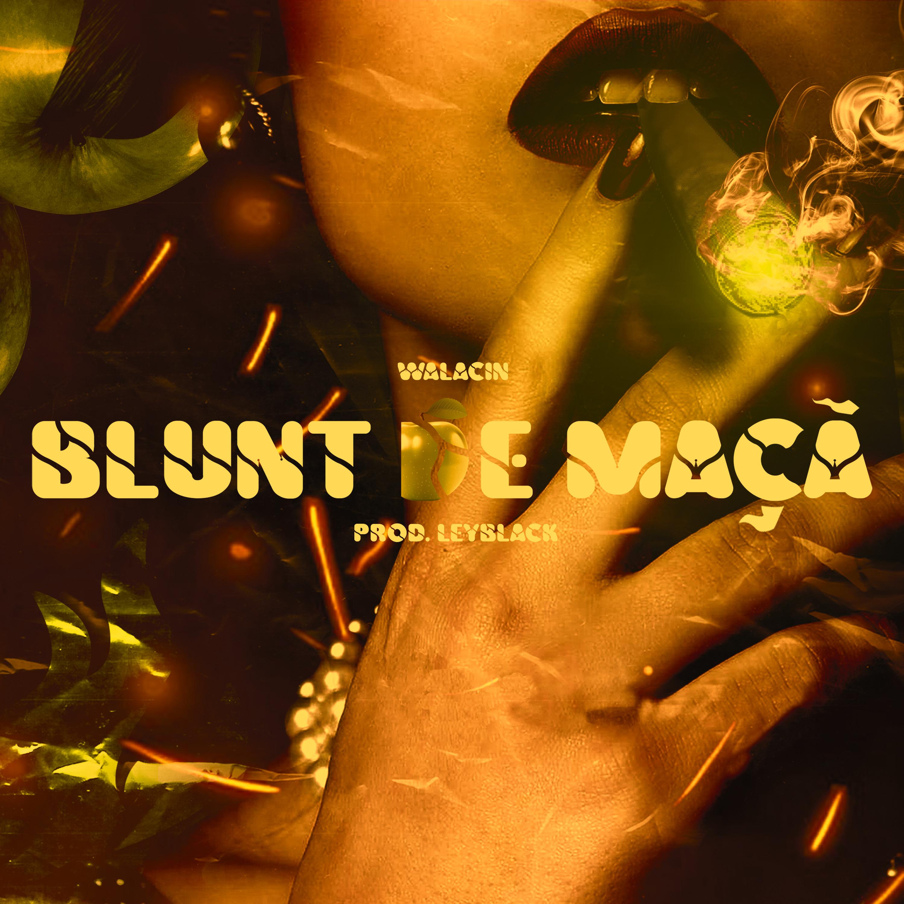 Постер альбома Blunt de Maçã