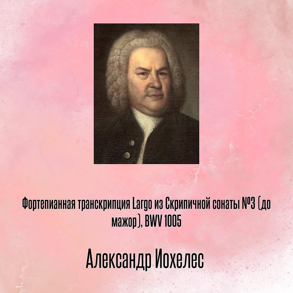 Постер альбома Фортепианная транскрипция Largo из Скрипичной сонаты №3 (до мажор), BWV 1005