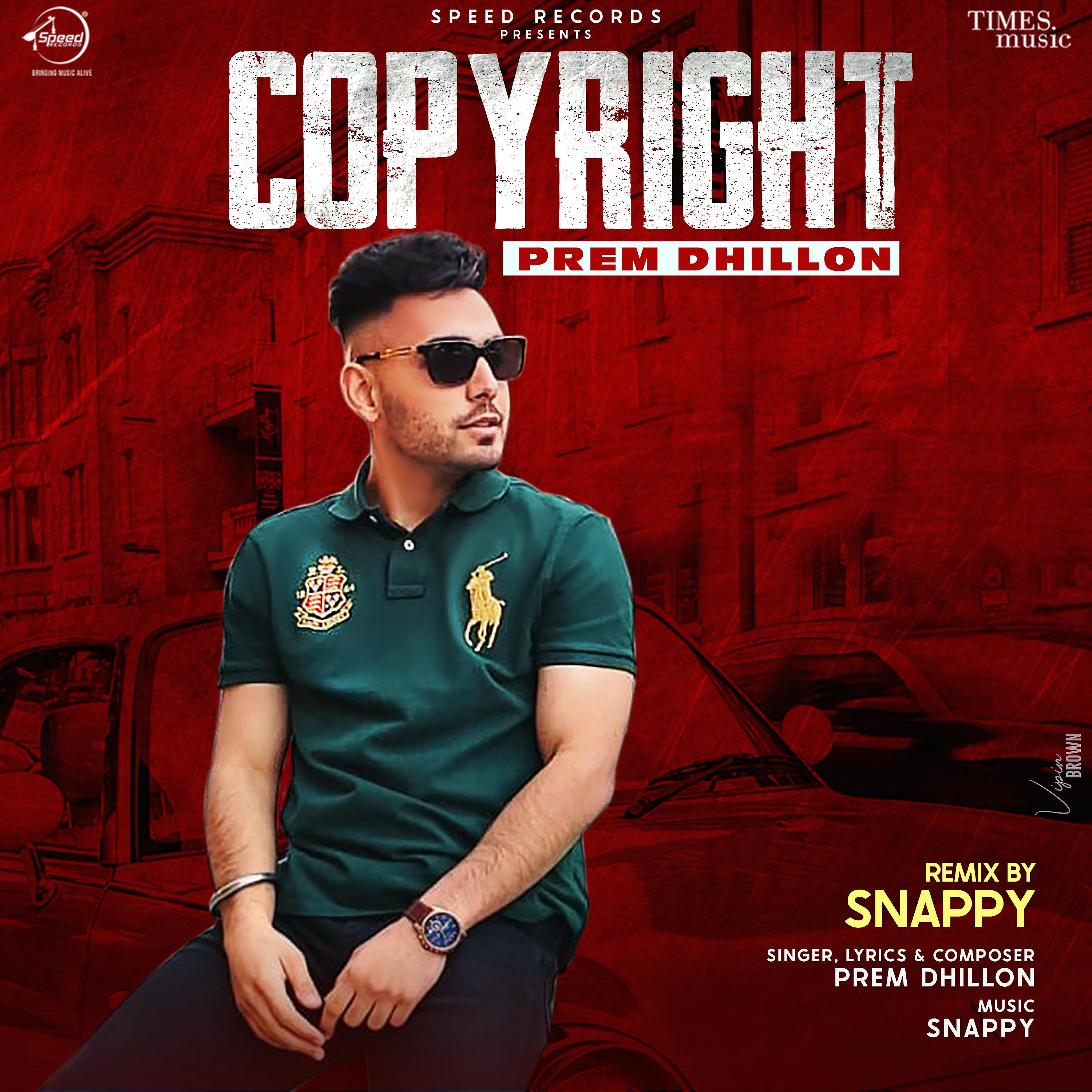 Постер альбома Copyright (Snappy Remix)