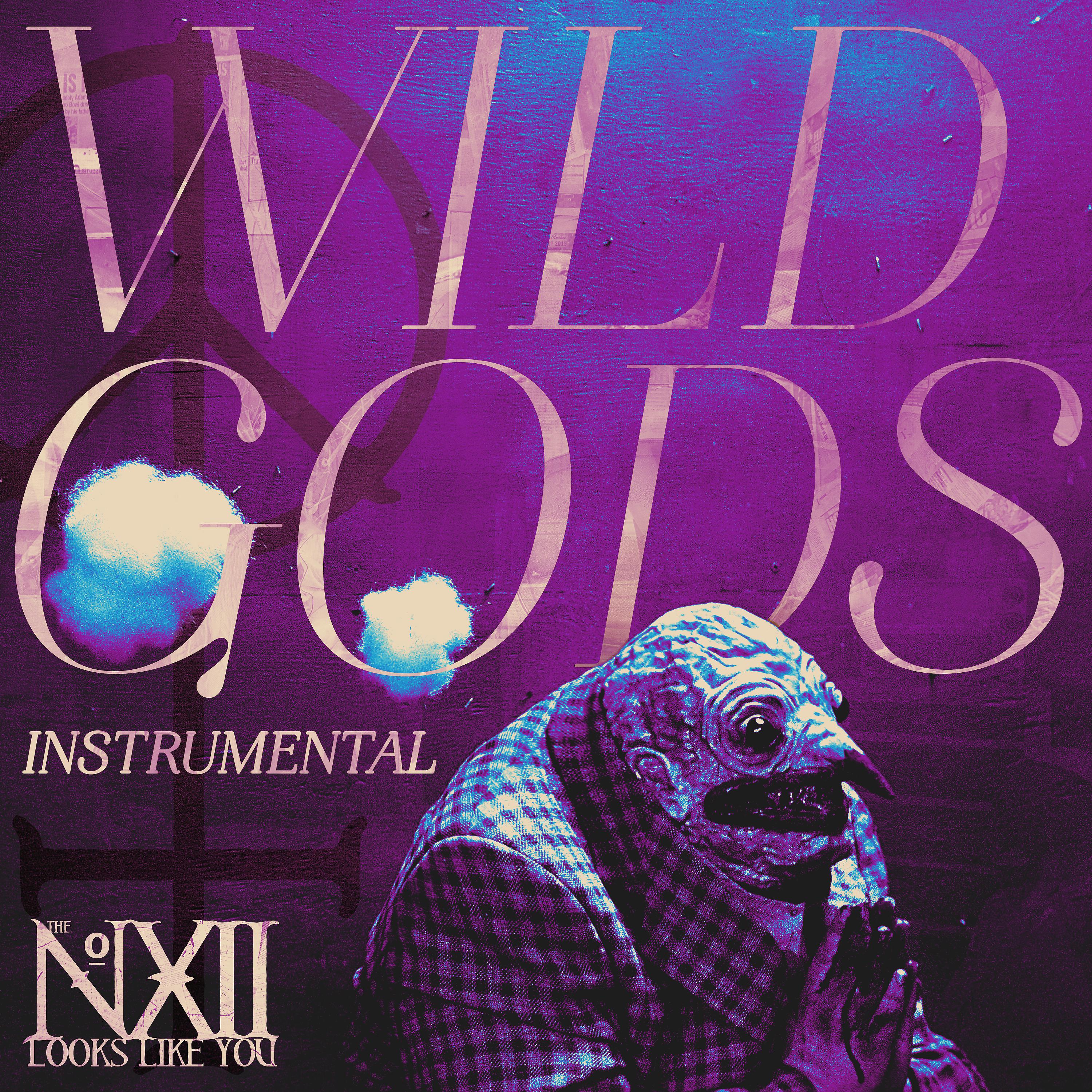 Постер альбома Wild Gods (Instrumental)