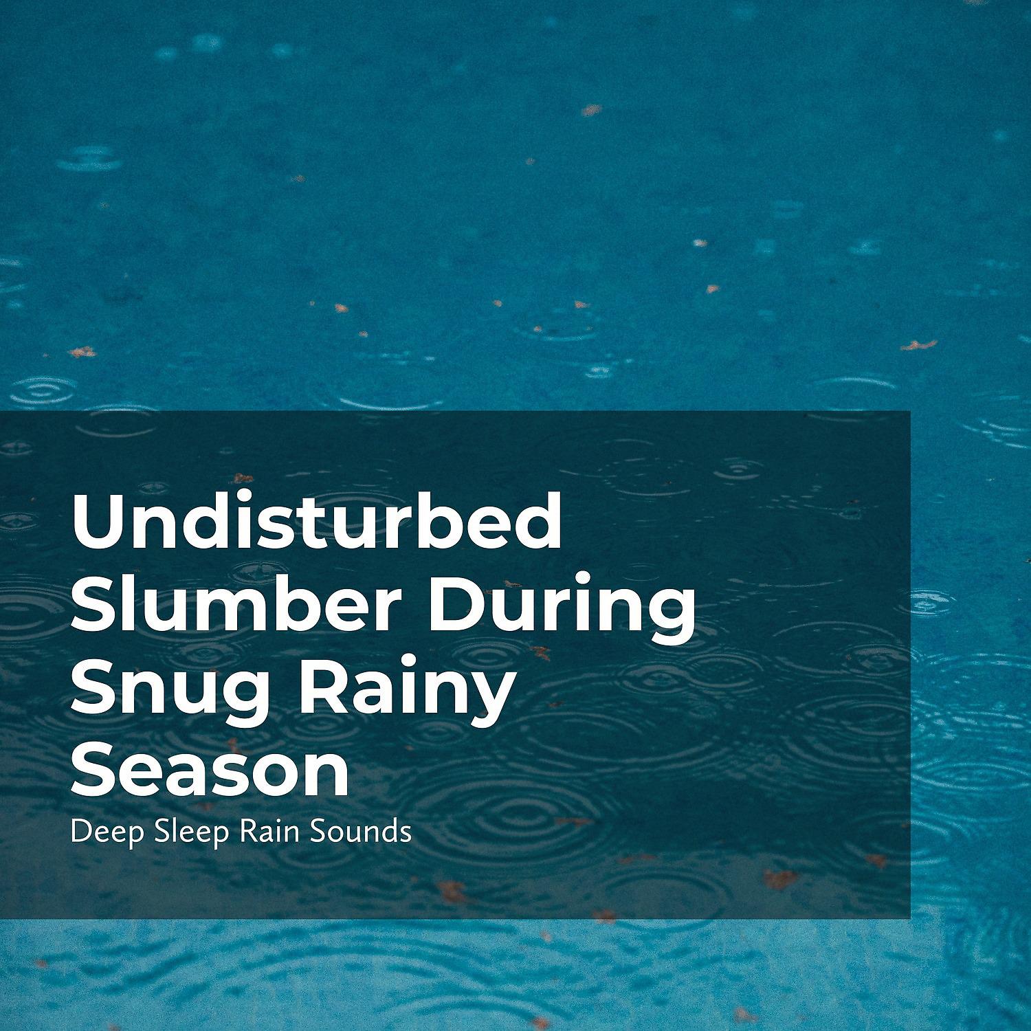 Постер альбома Undisturbed Slumber During Snug Rainy Season