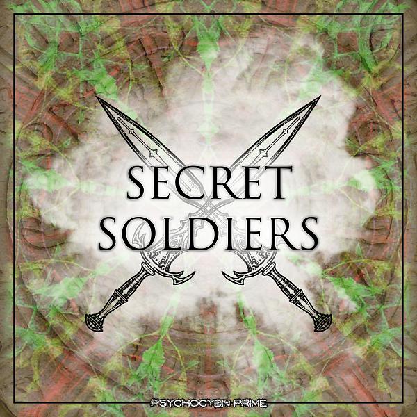 Постер альбома Secret Soldiers