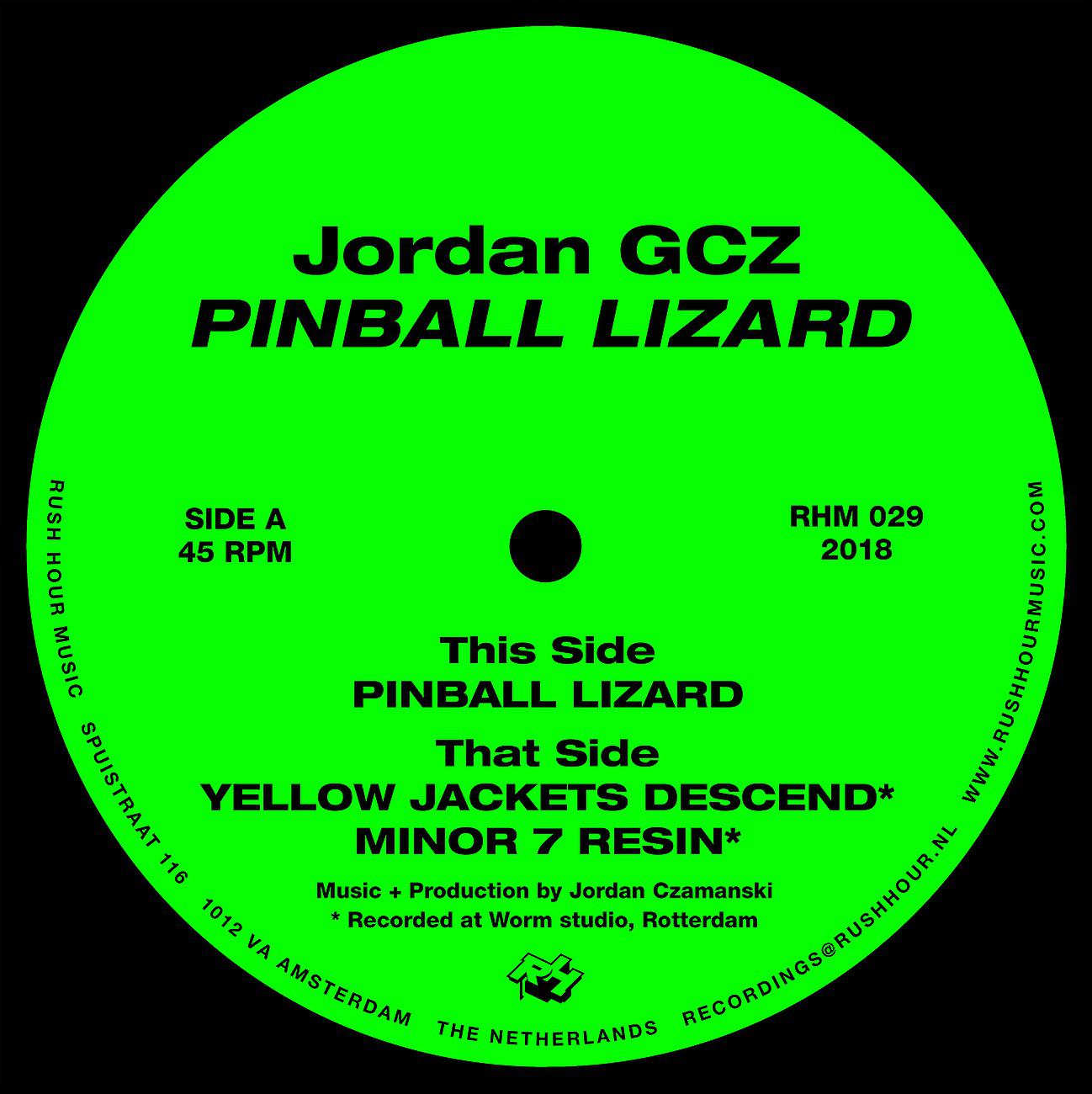 Постер альбома Pinball Lizard