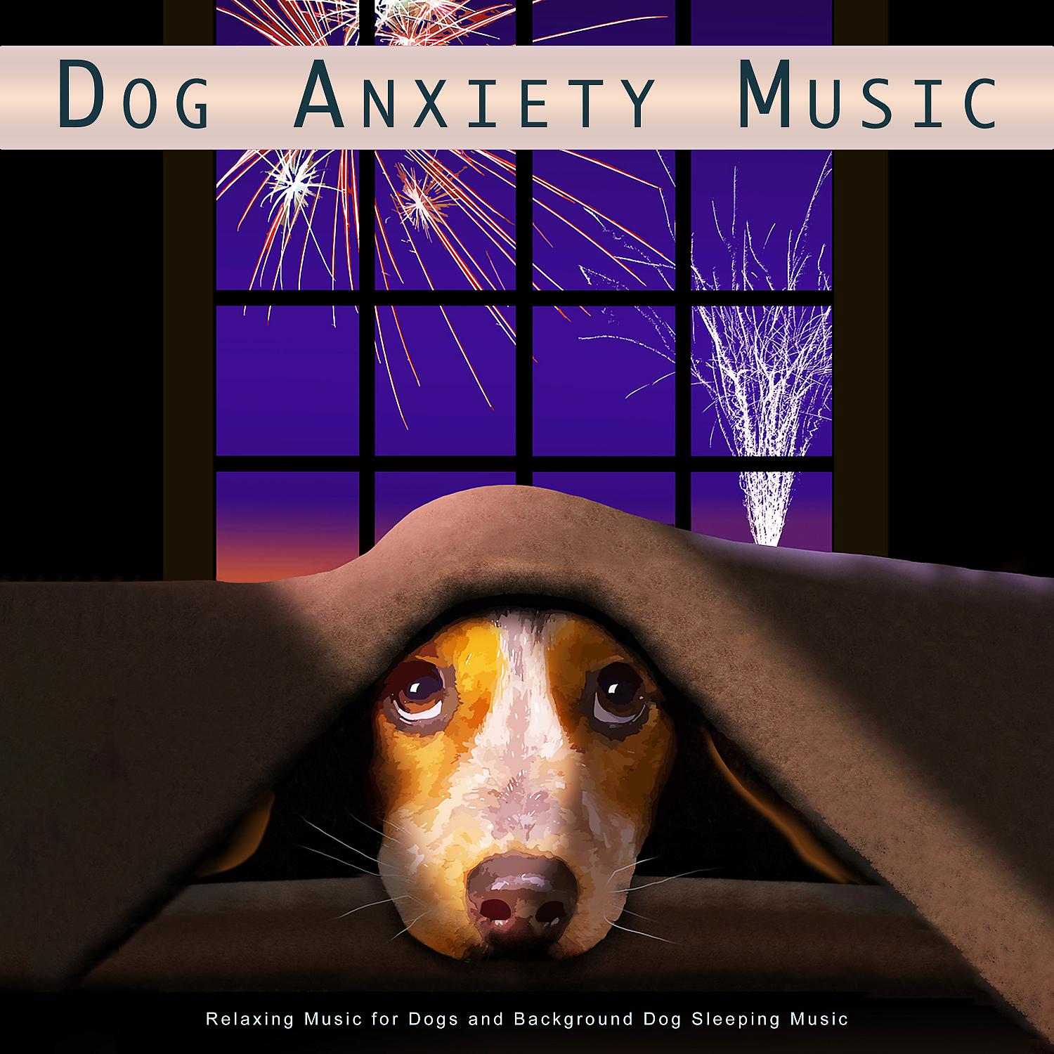 Постер альбома Dog Anxiety Music: Relaxing Music for Dogs and Background Dog Sleeping Music