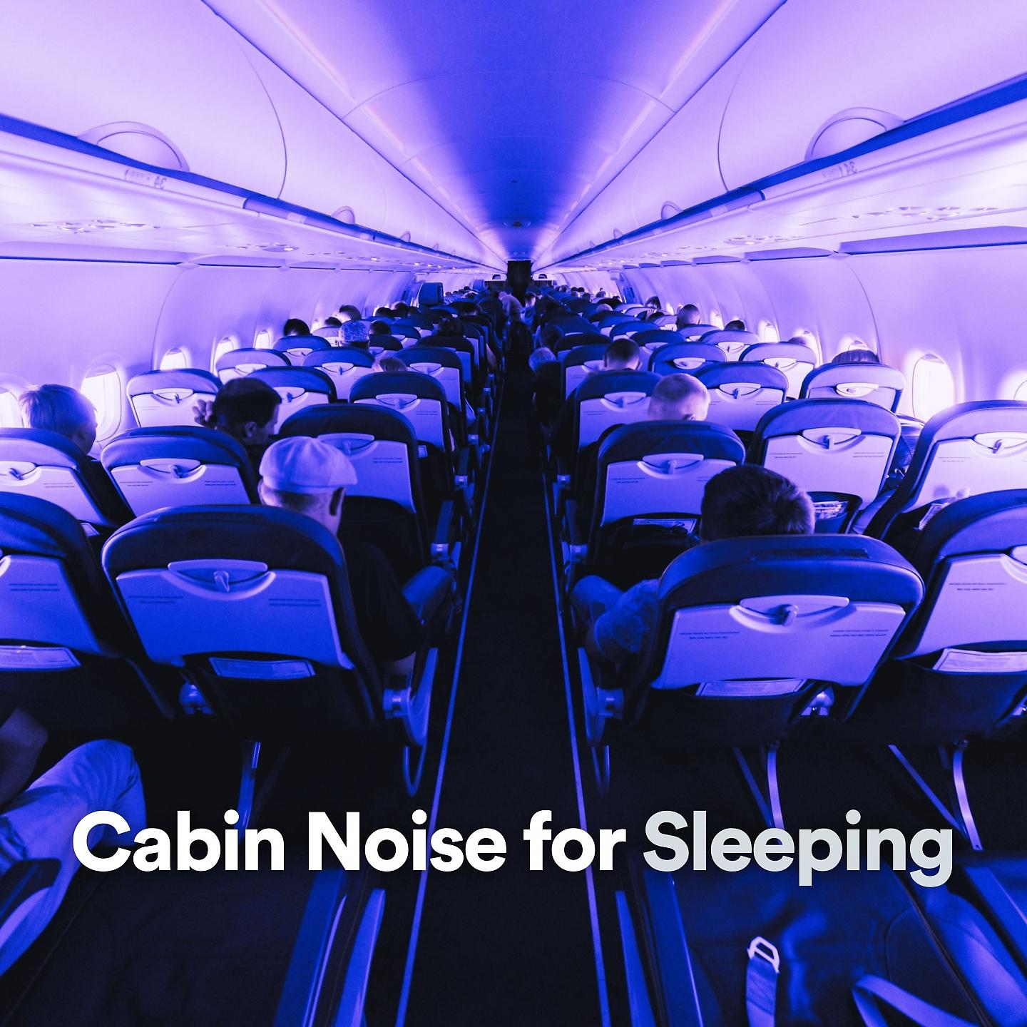 Постер альбома Cabin Noise for Sleeping