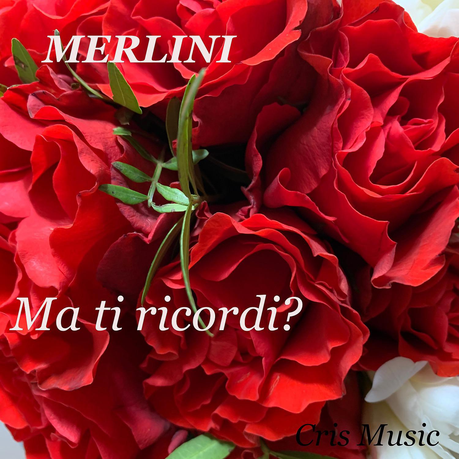 Постер альбома Merlini: Ma ti ricordi?