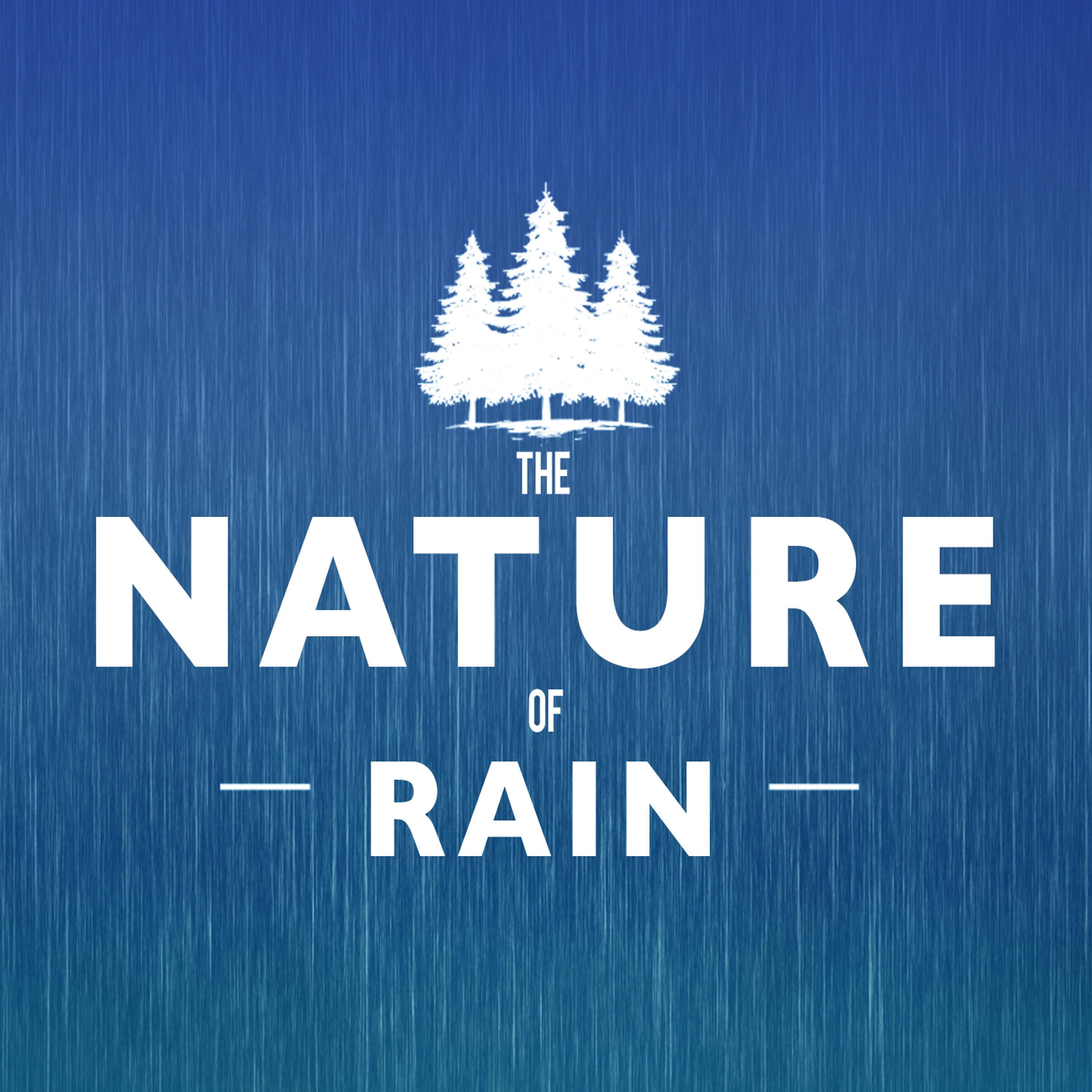 Постер альбома The Nature of Rain
