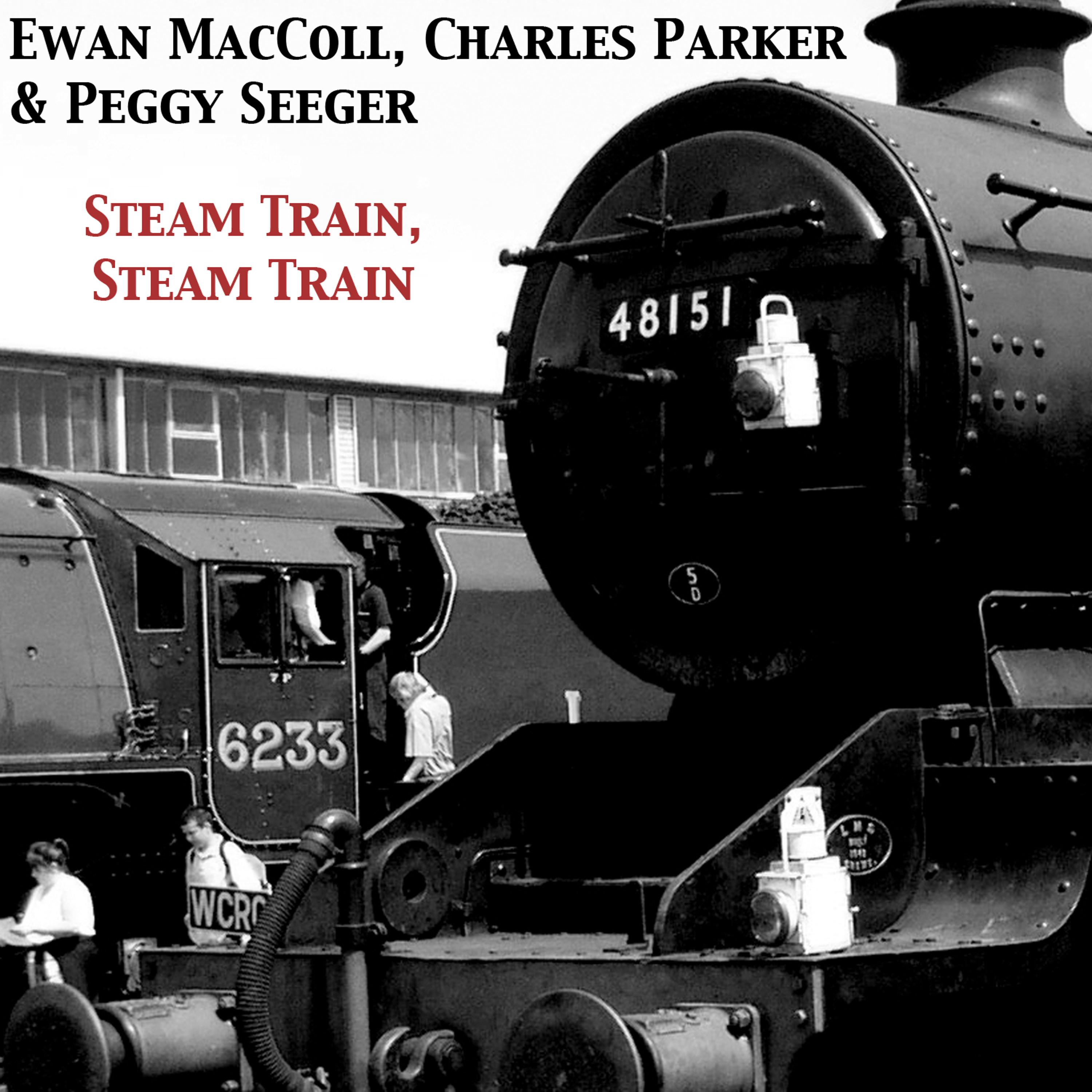 Постер альбома Steam Train, Steam Train