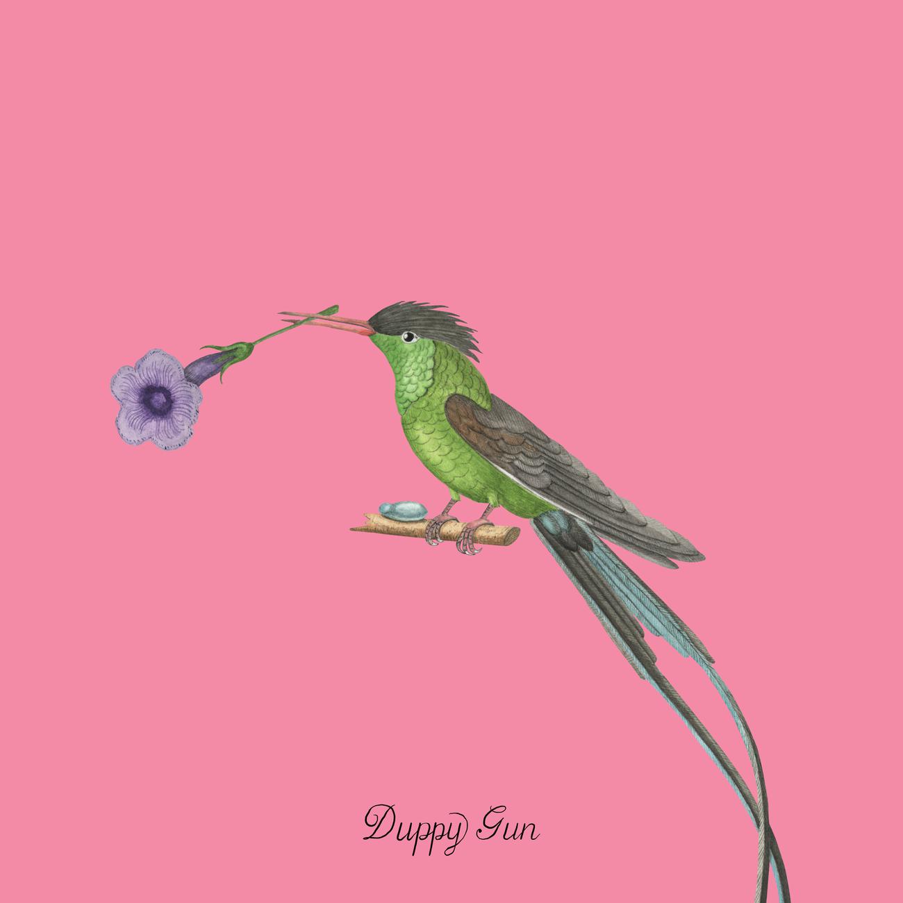 Постер альбома Duppy Gun