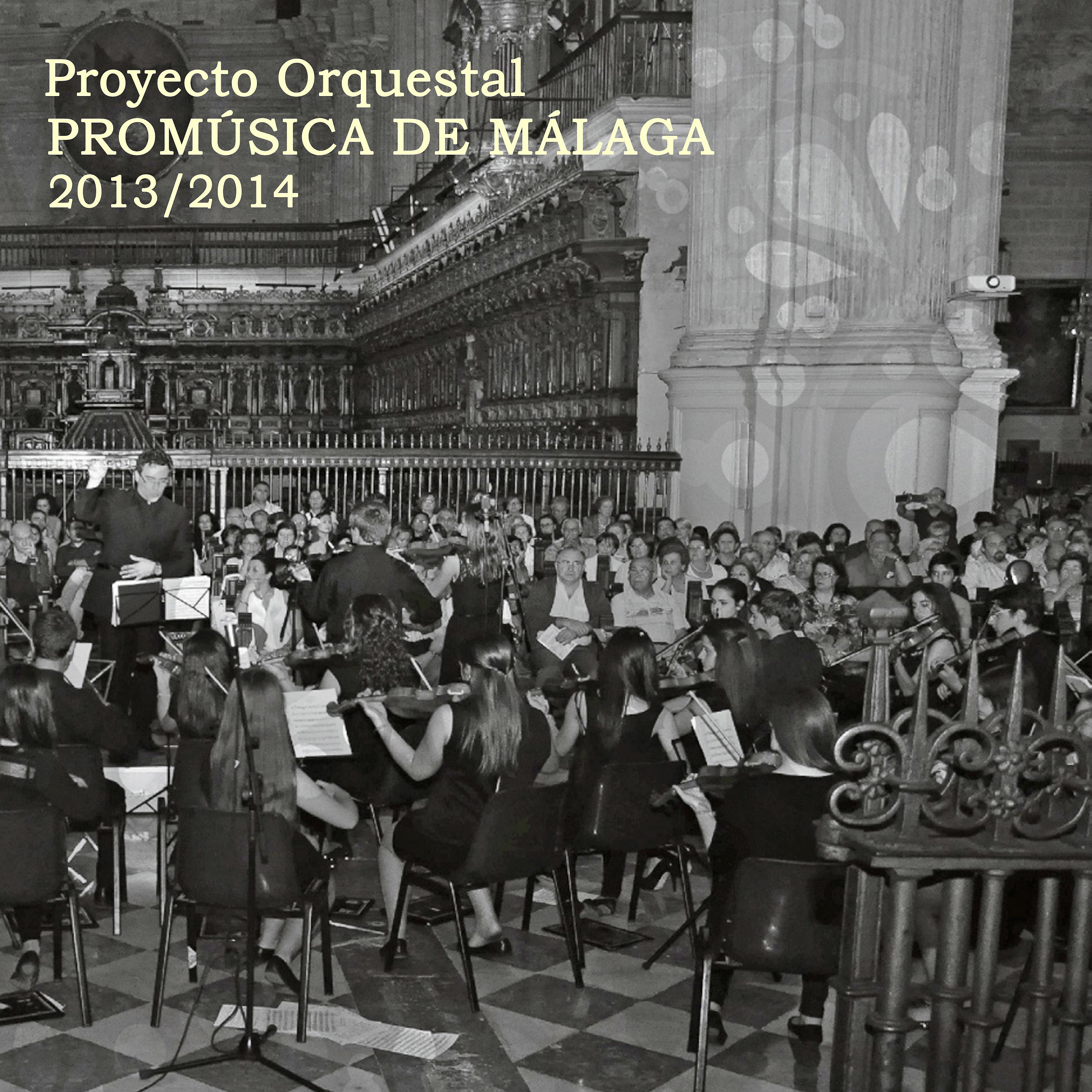 Постер альбома Proyecto Orquestal Promúsica de Málaga 2013/2014