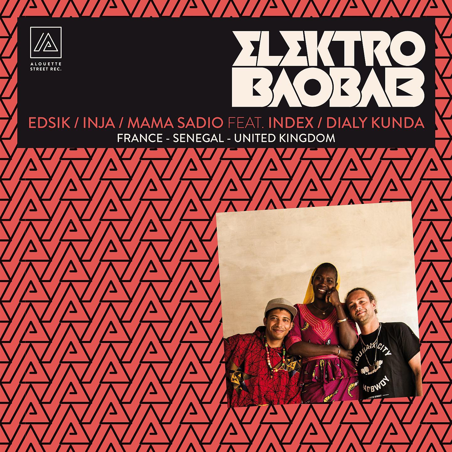 Постер альбома Elektro baobab