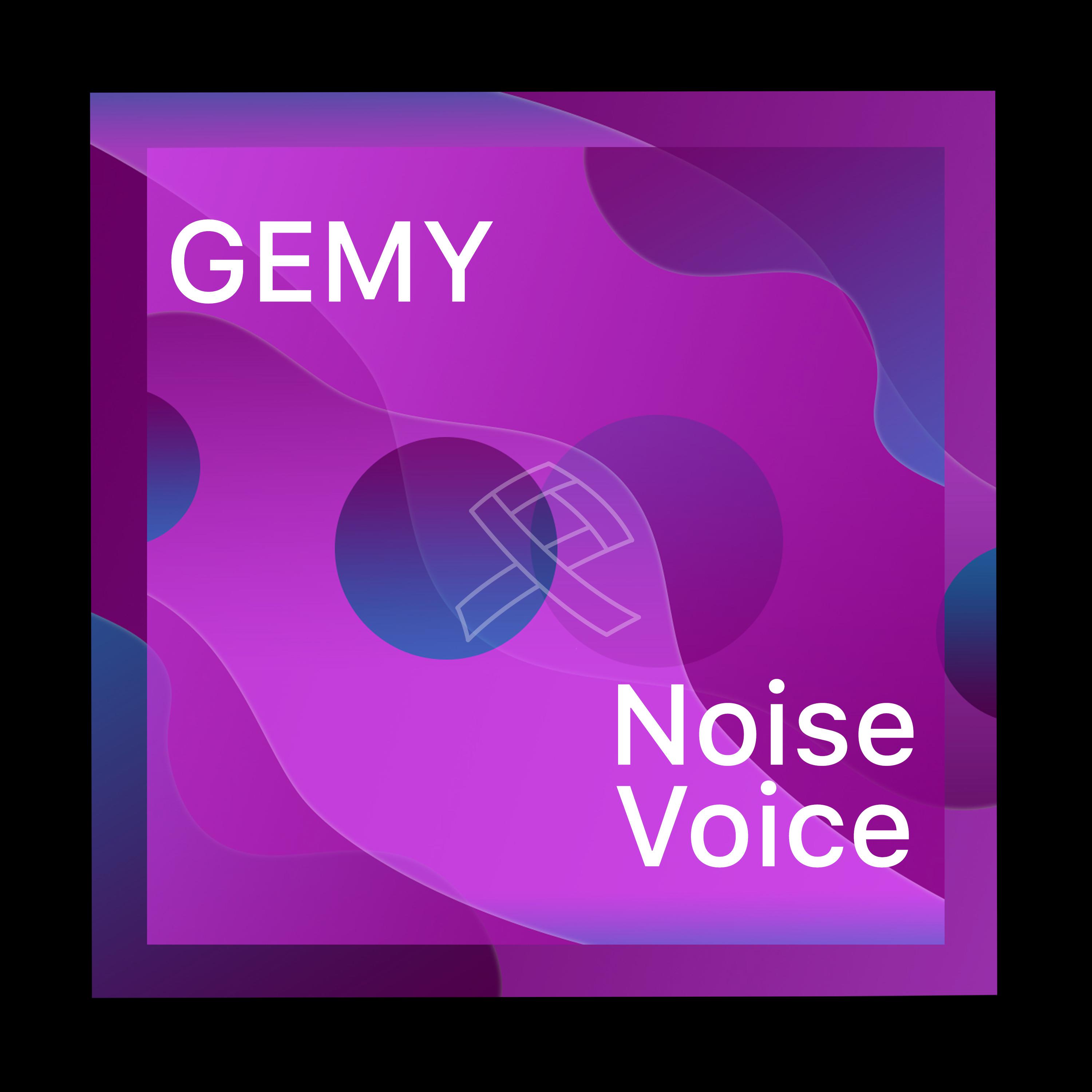 Постер альбома Noise Voice