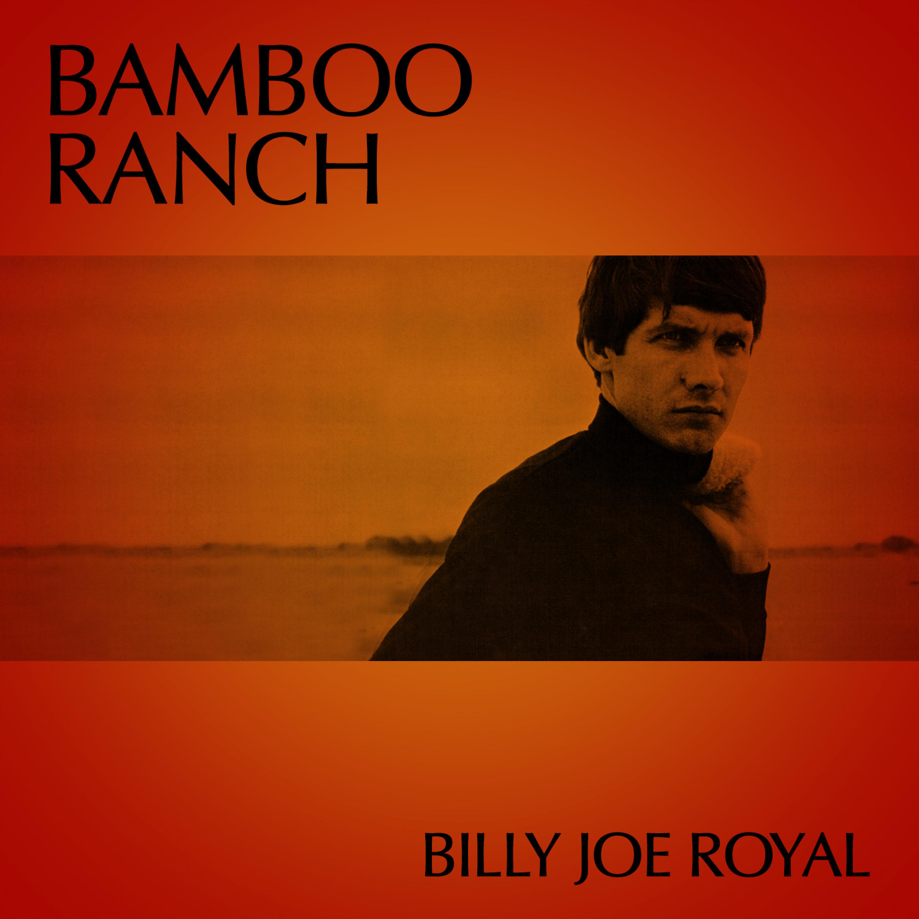 Постер альбома Bamboo Ranch