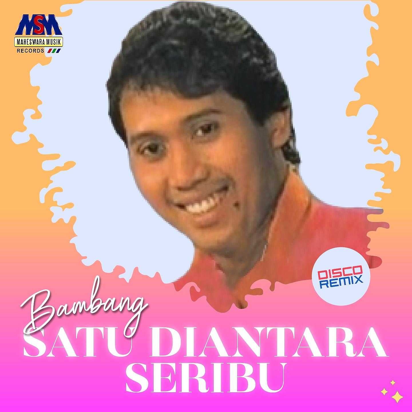 Постер альбома Satu Diantara Seribu