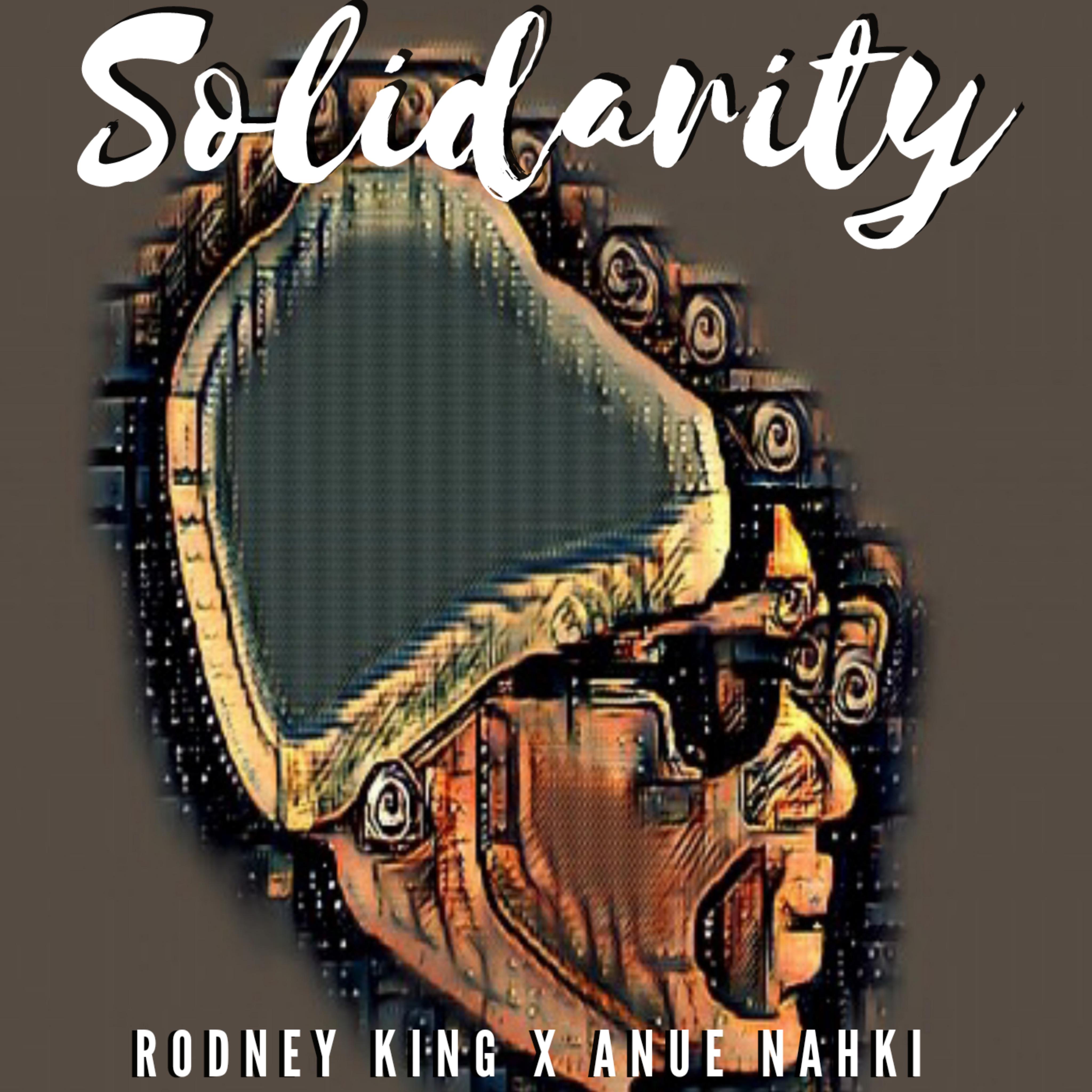 Постер альбома Solidarity