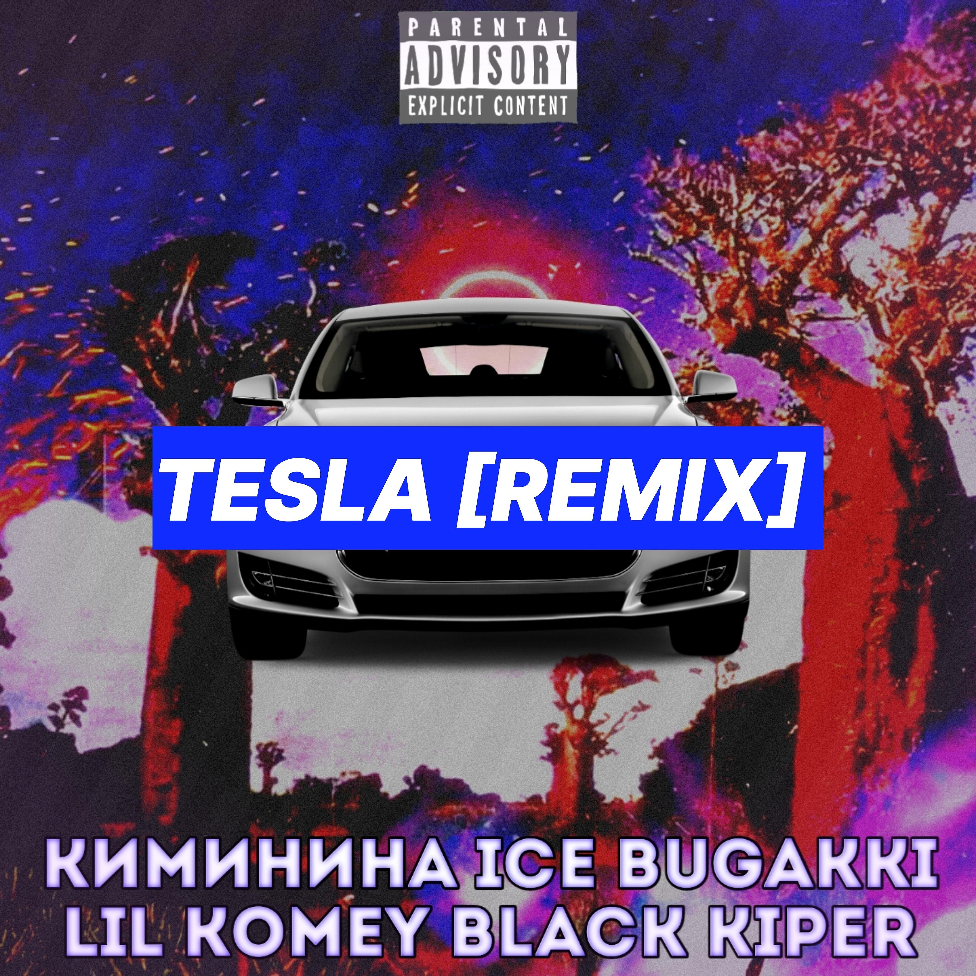 Постер альбома Tesla (Remix)