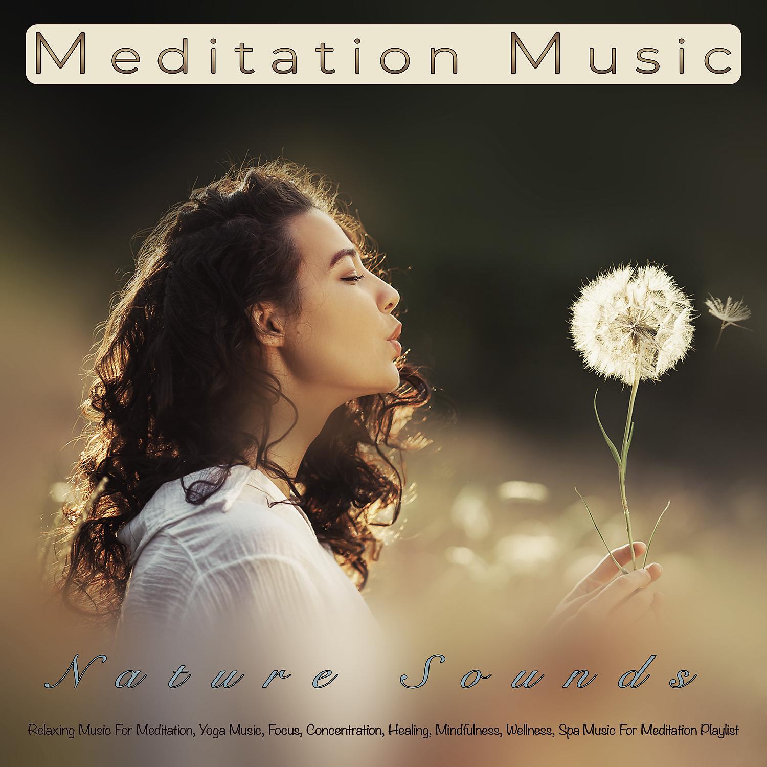 Постер альбома Meditation Music: Relaxing Music and Nature Sounds For Meditation, Yoga Music, Focus, Concentration, Healing, Mindfulness, Wellness, Spa Music For Meditation Playlist and Sleeping Music