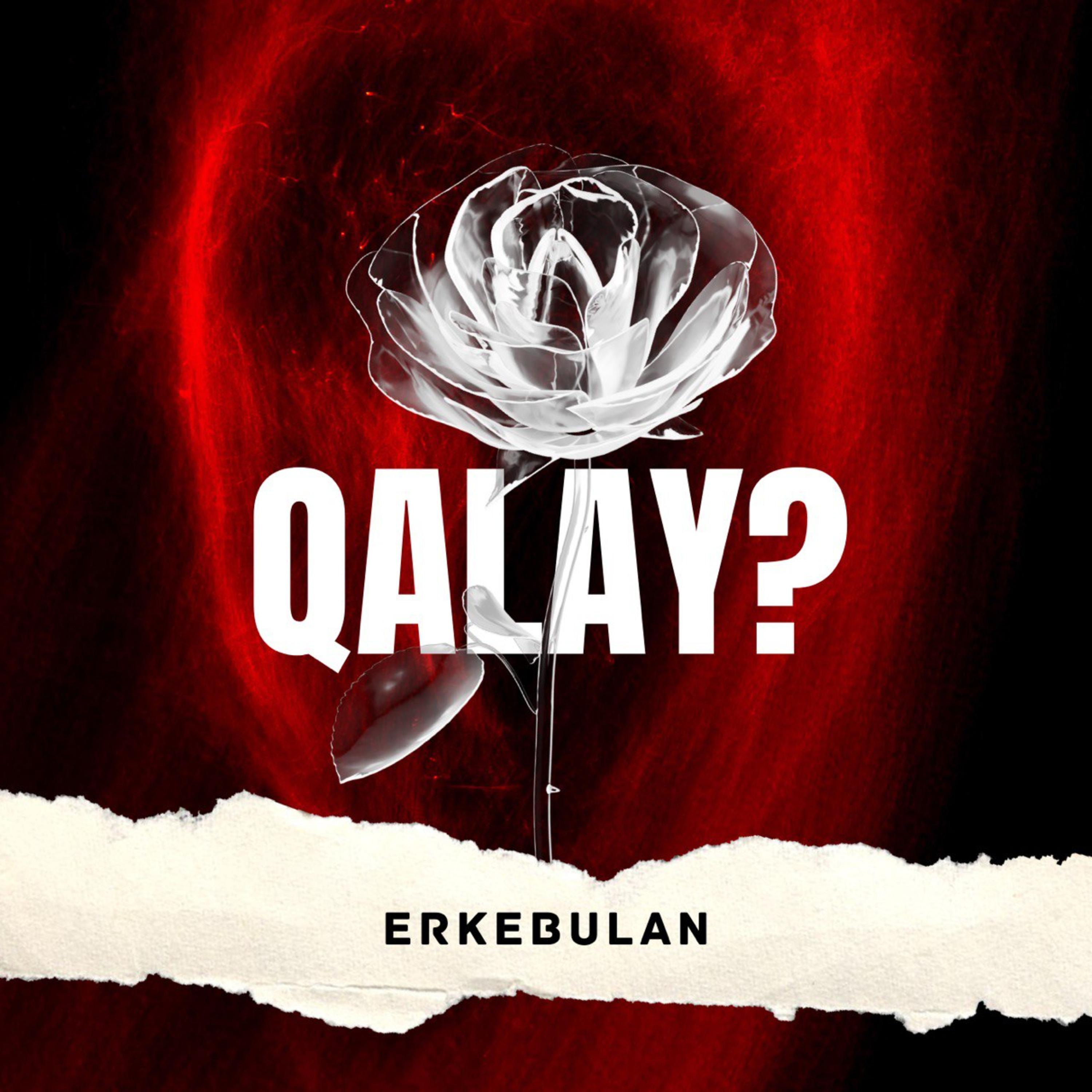 Постер альбома Qalay?