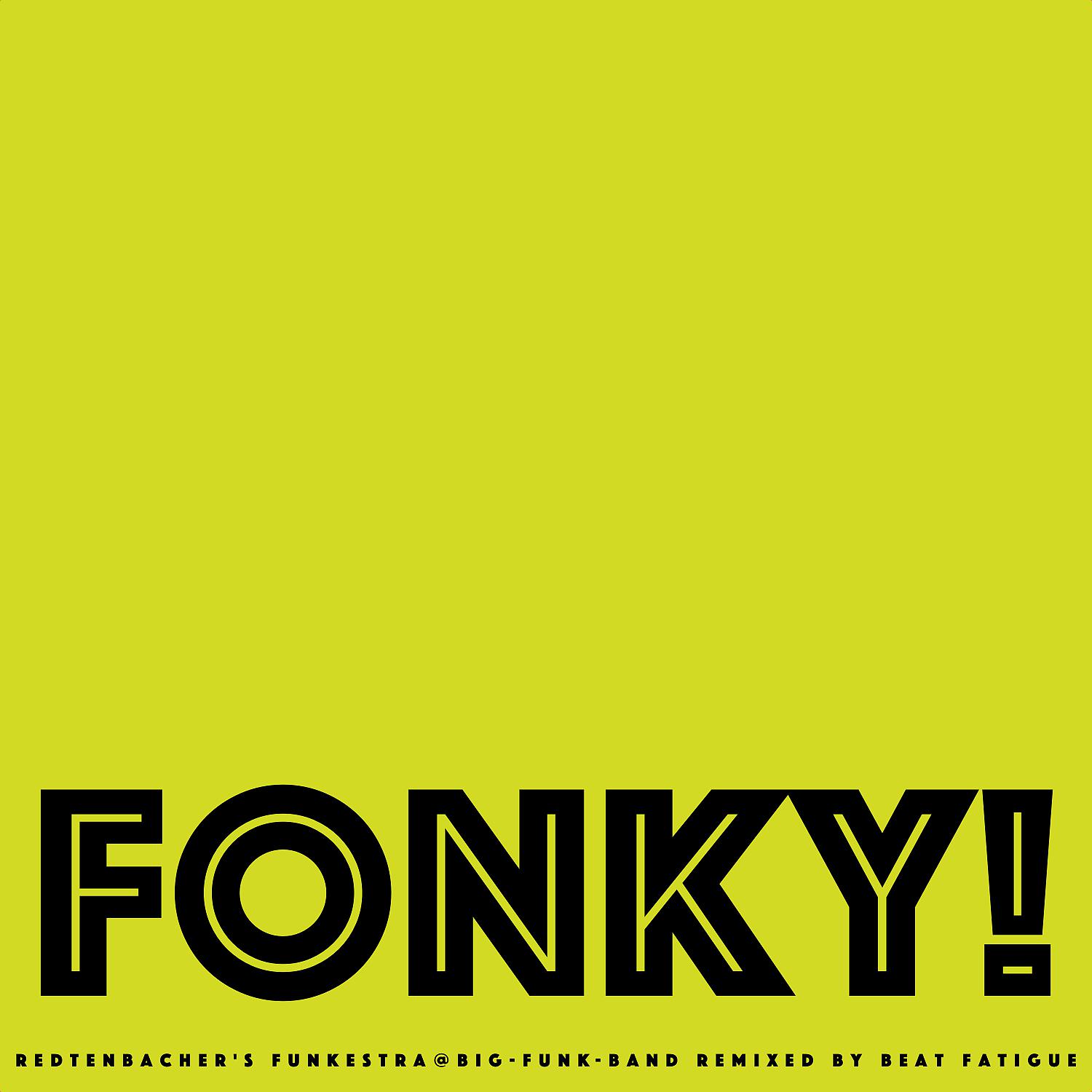 Постер альбома FONKY (feat. Beat Fatigue)
