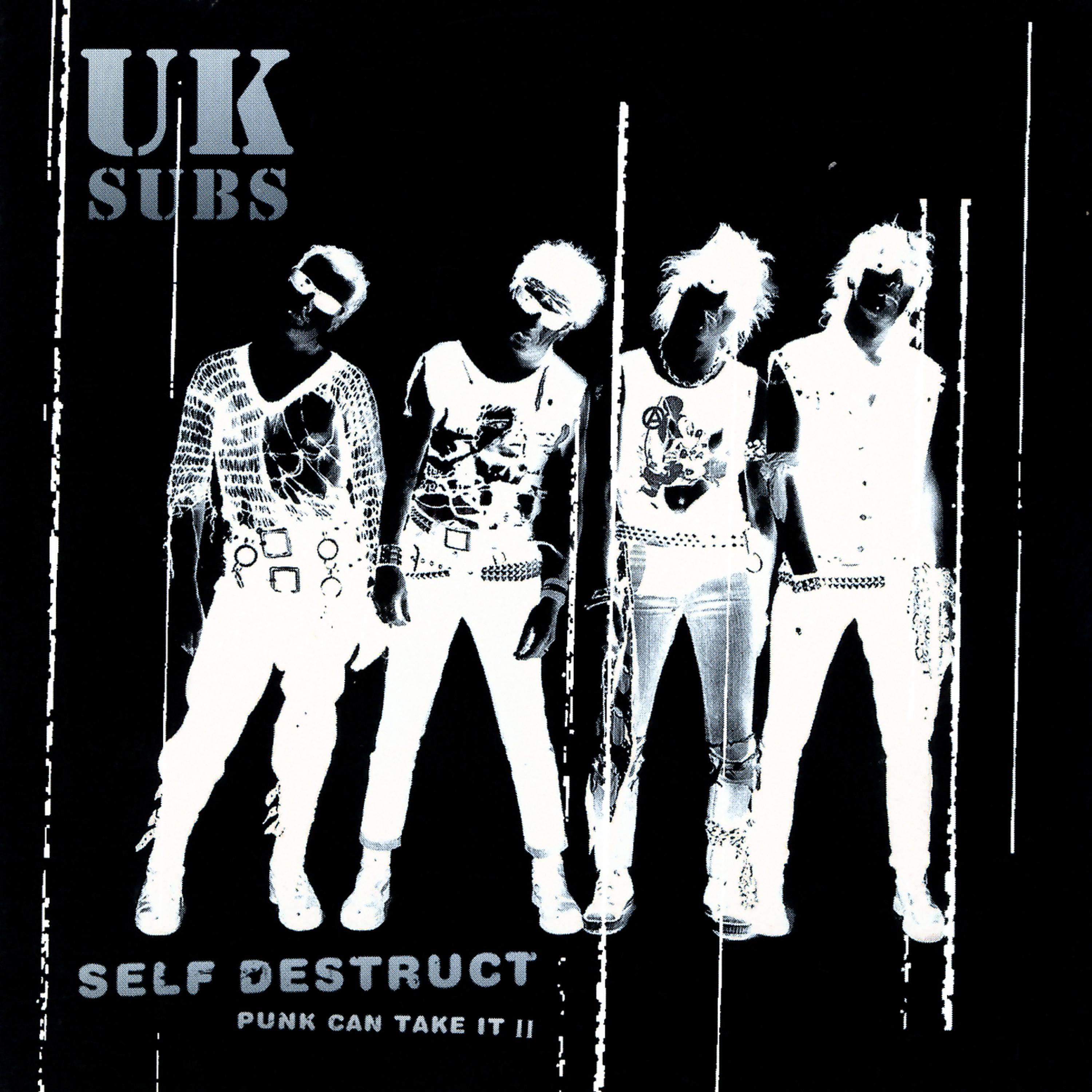 Постер альбома Self Destruct - Punk Can Take It II