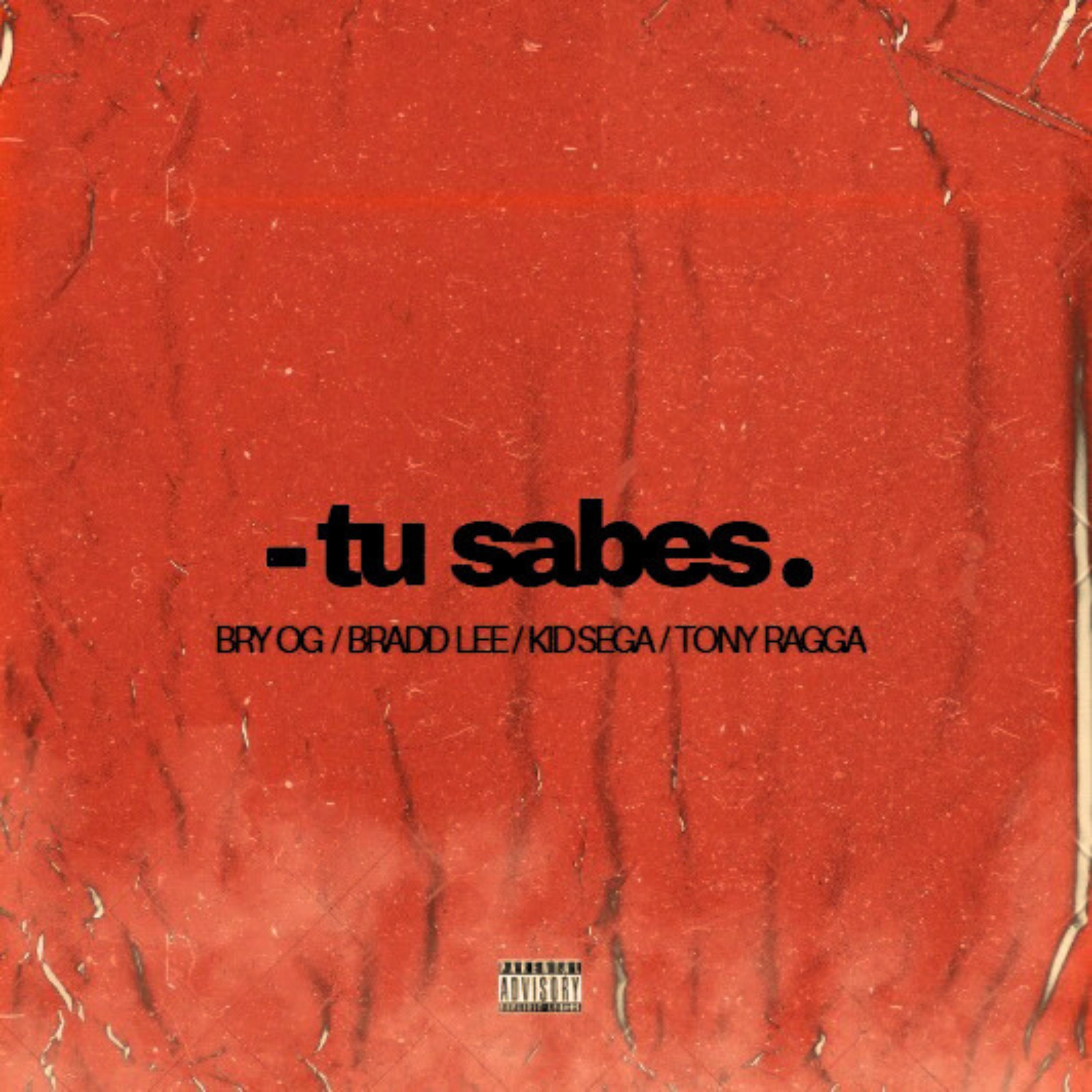 Постер альбома Tu Sabes