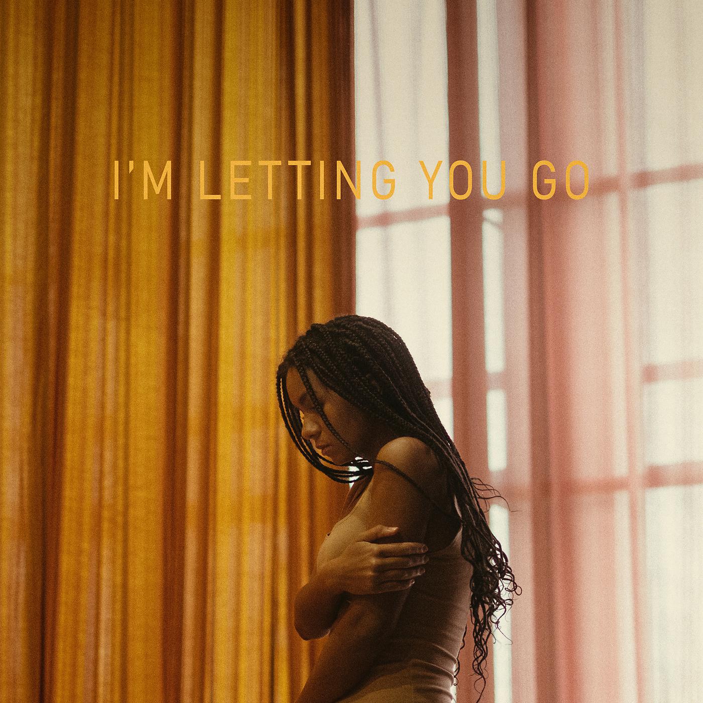 Постер альбома I'm Letting You Go