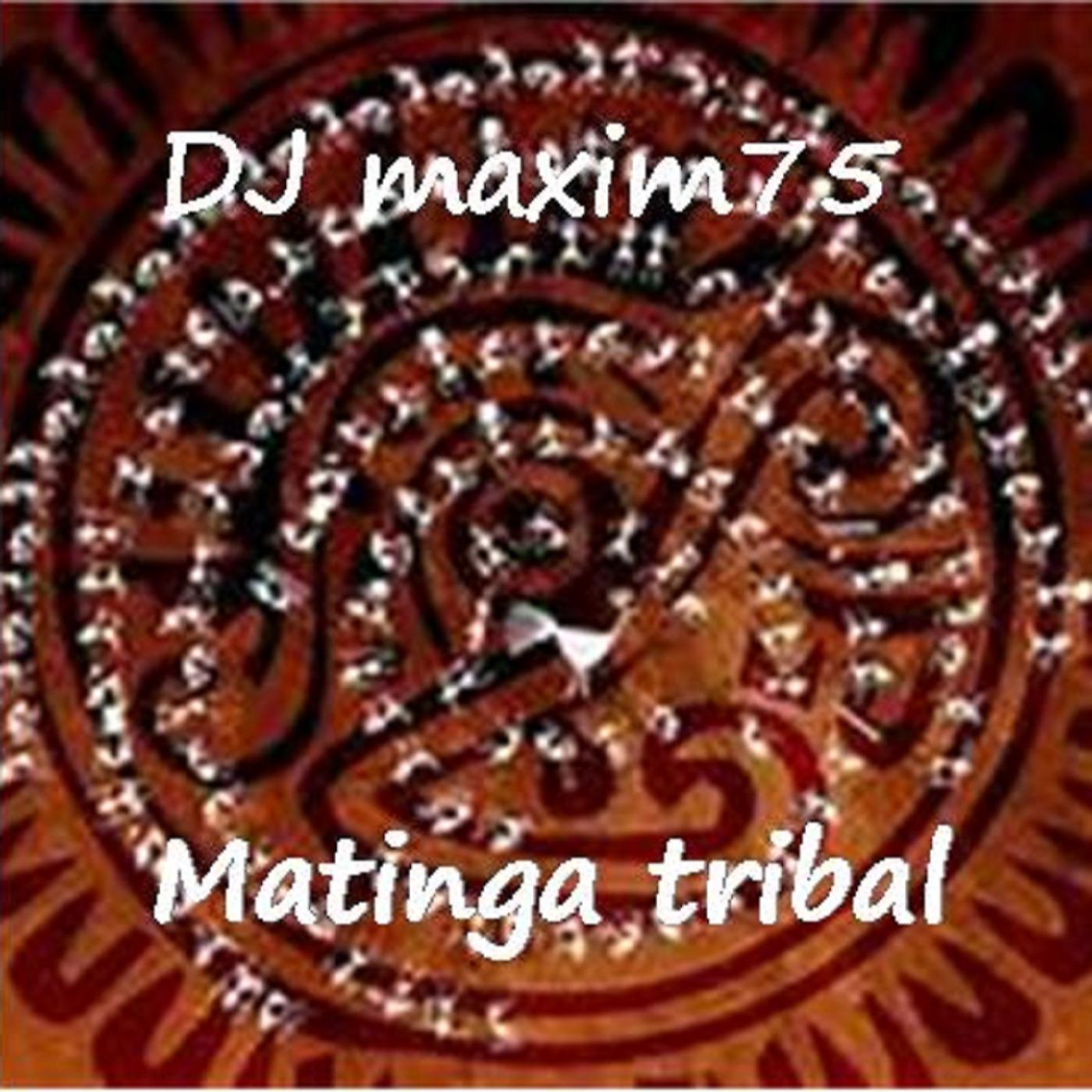Постер альбома Matinga Tribal