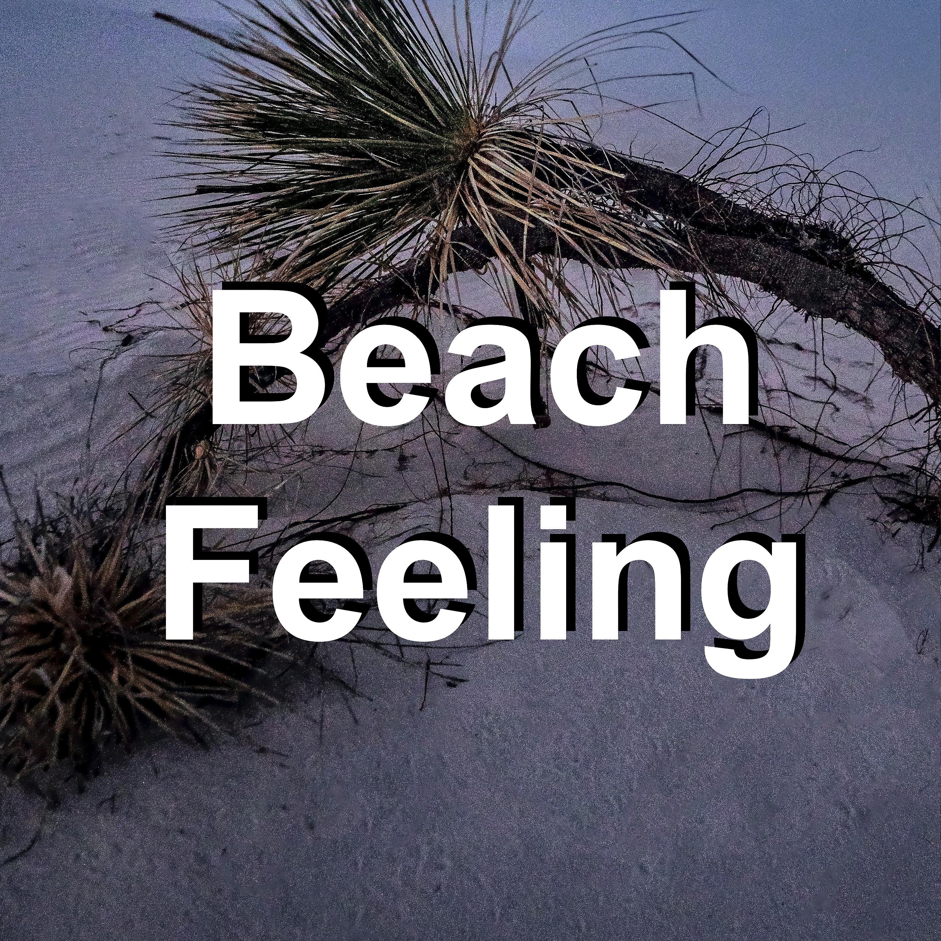 Постер альбома Beach Feeling
