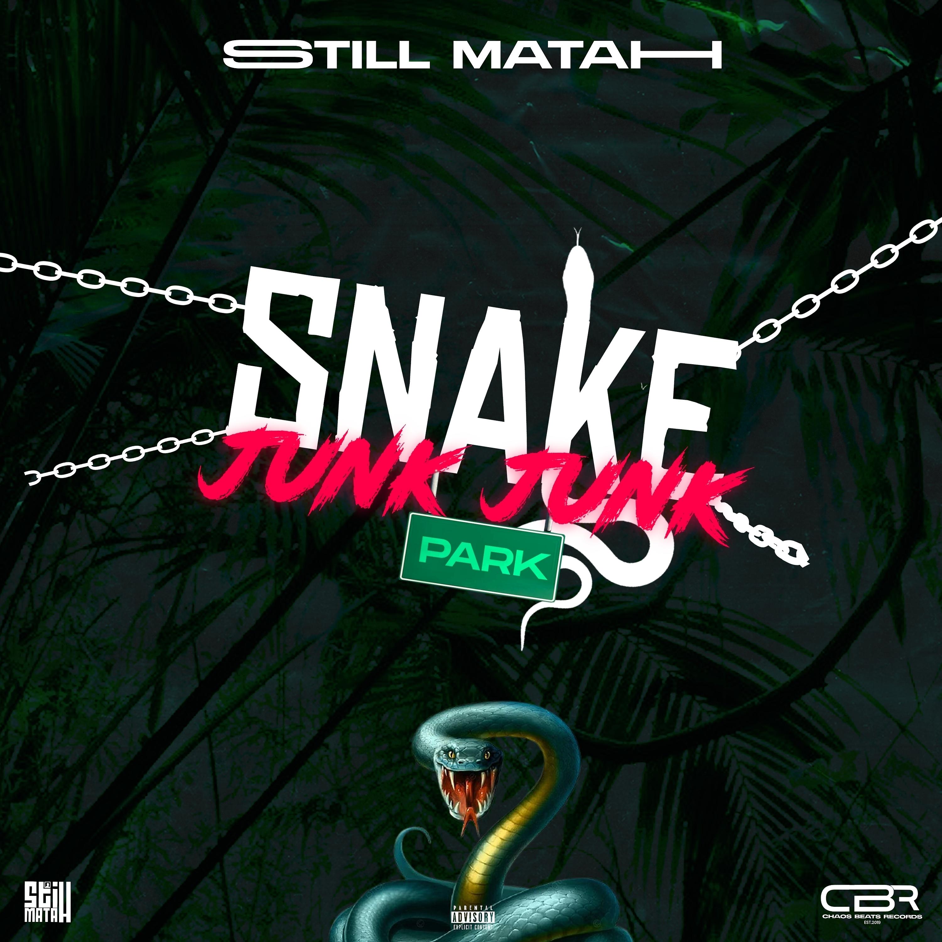 Постер альбома Snake Junk Junk Park