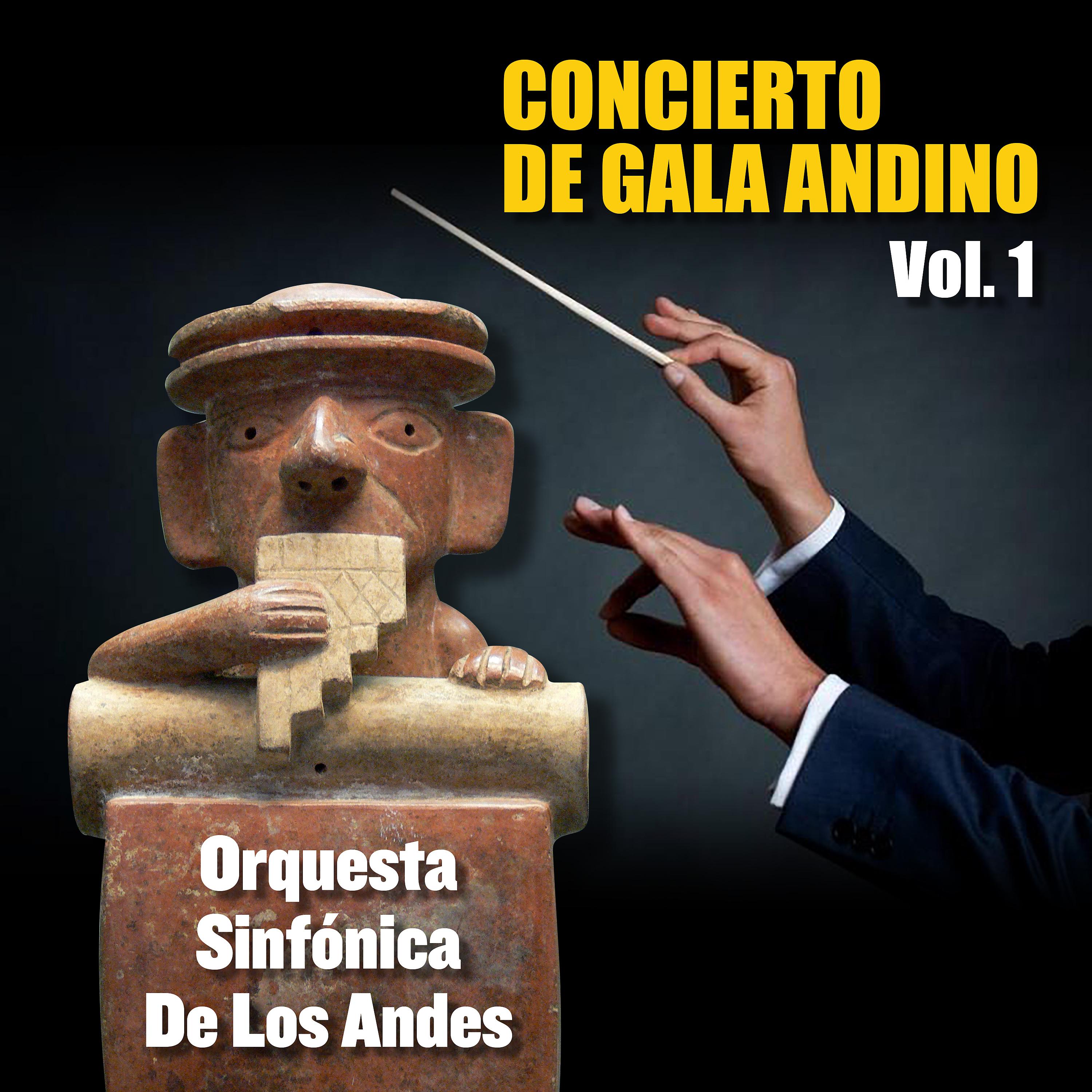 Постер альбома Concierto de Gala Andino, Vol.1