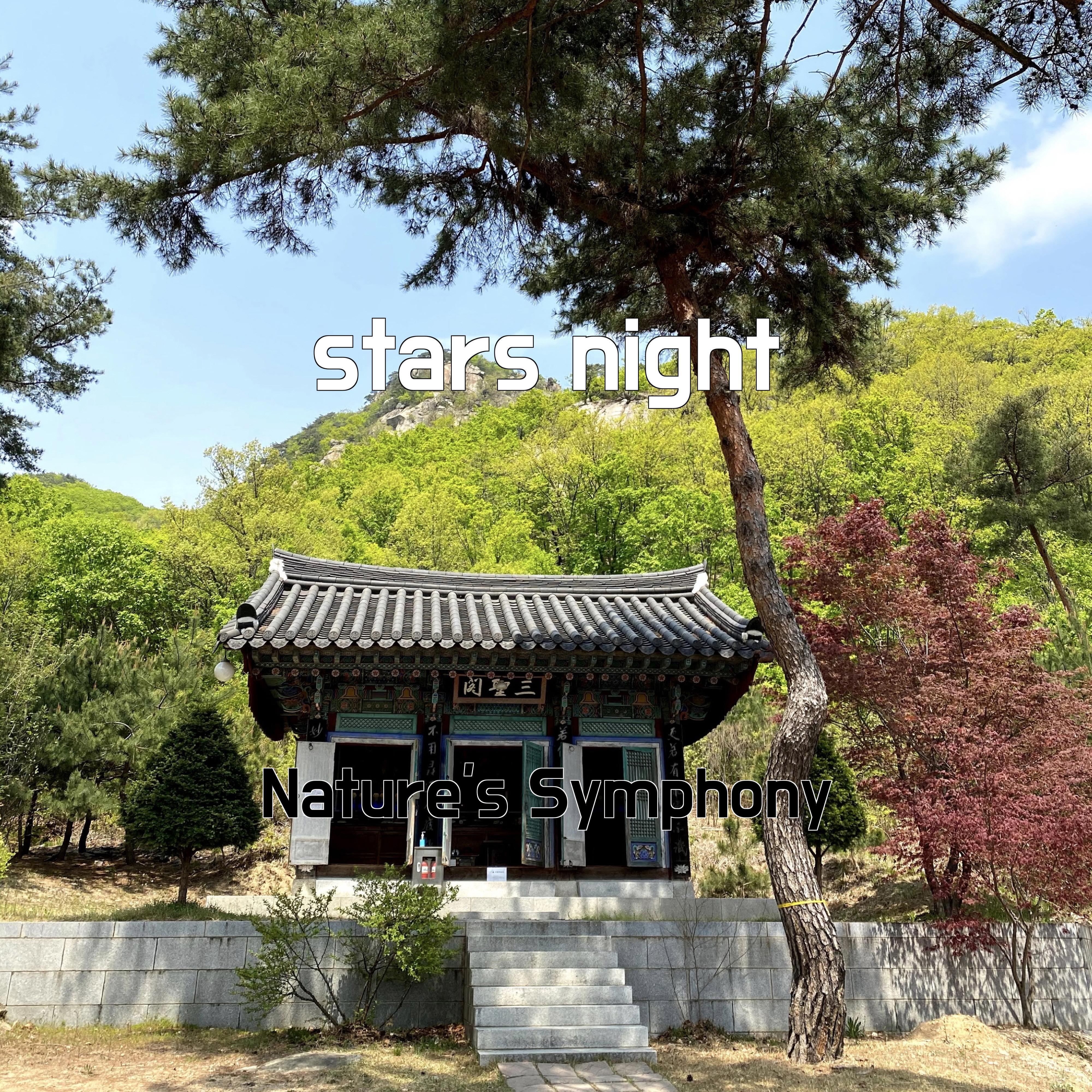 Постер альбома stars night