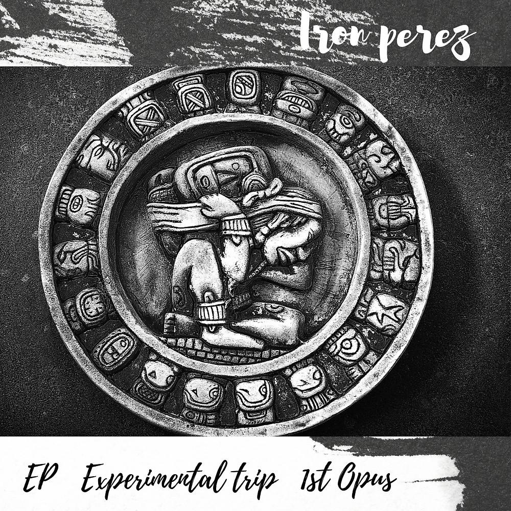 Постер альбома Experimental Trip 1st Opus