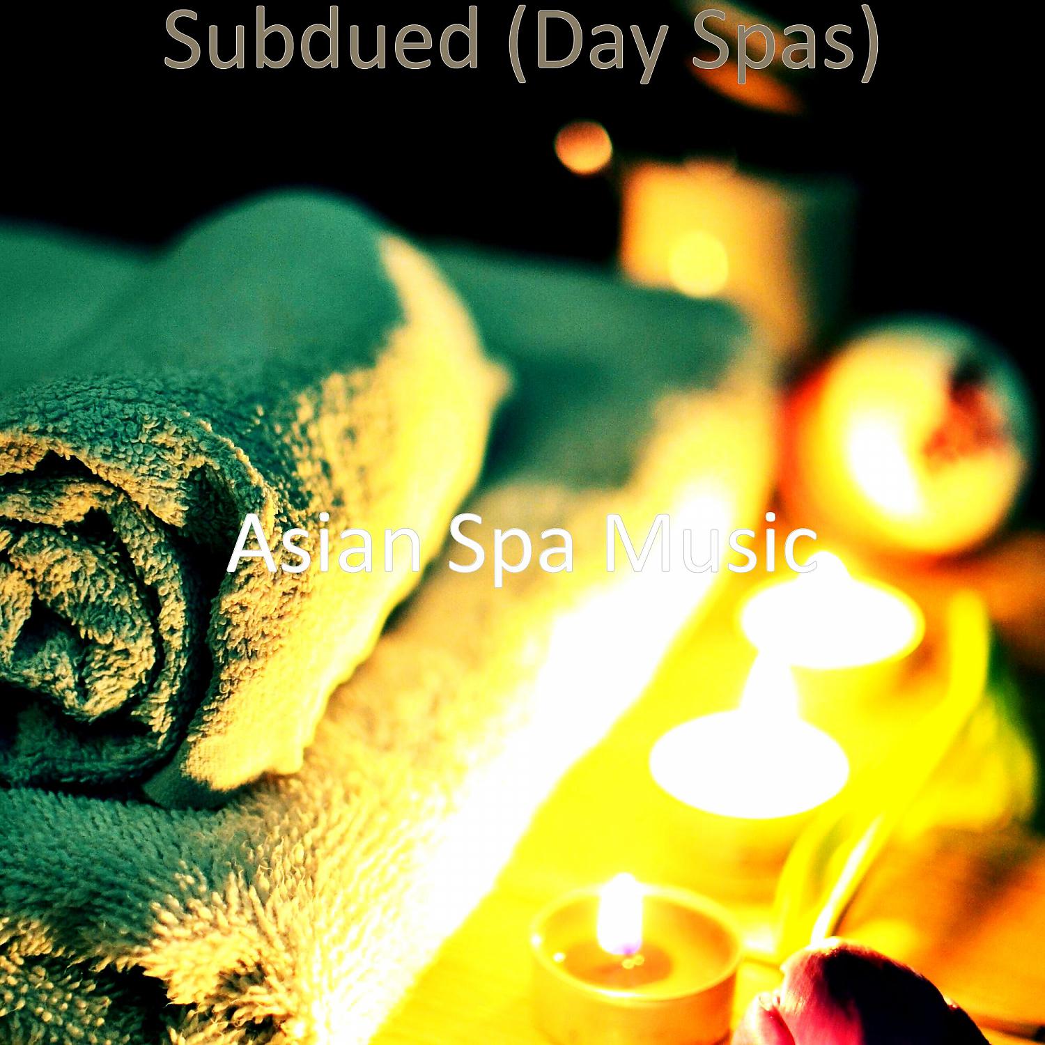 Постер альбома Subdued (Day Spas)