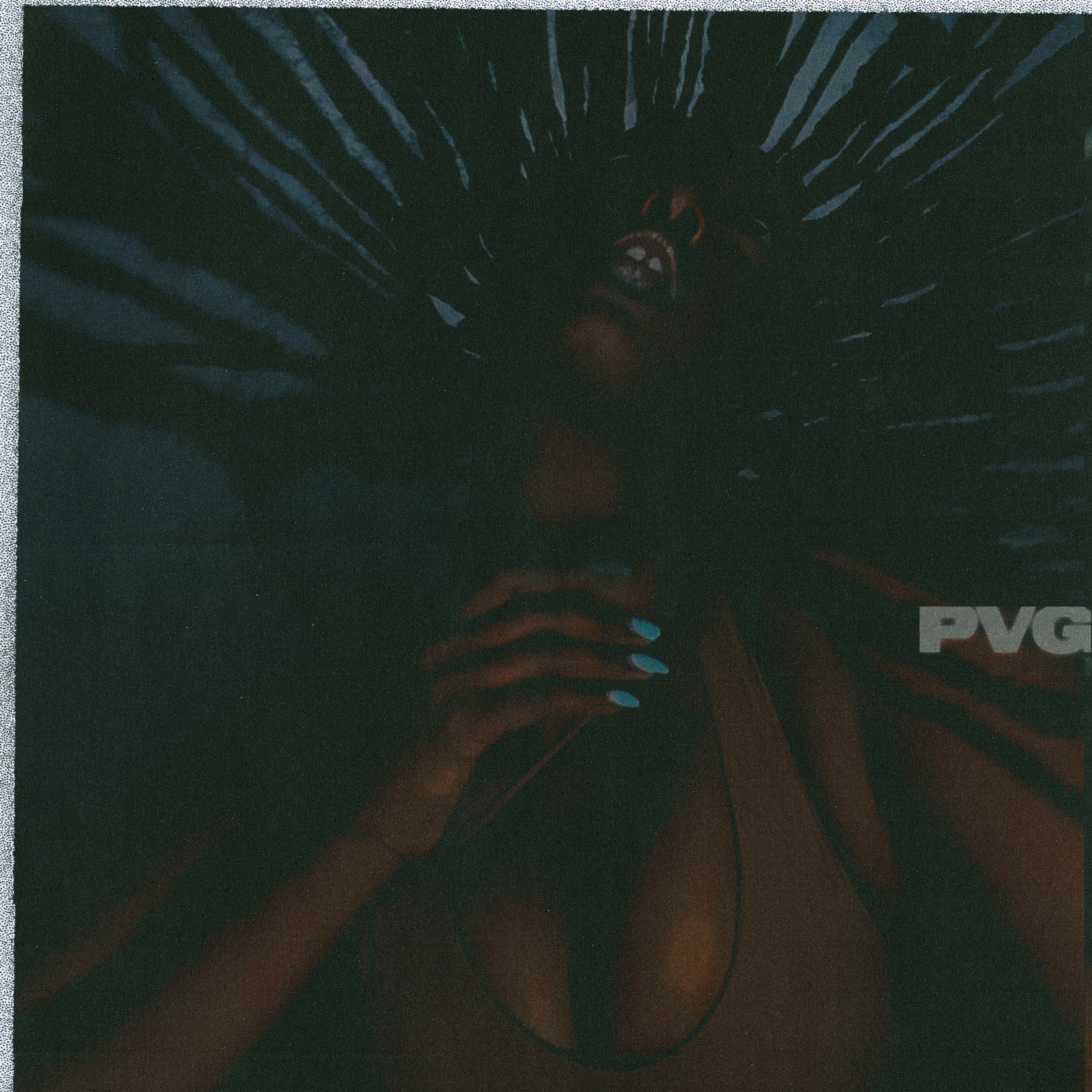 Постер альбома pVg