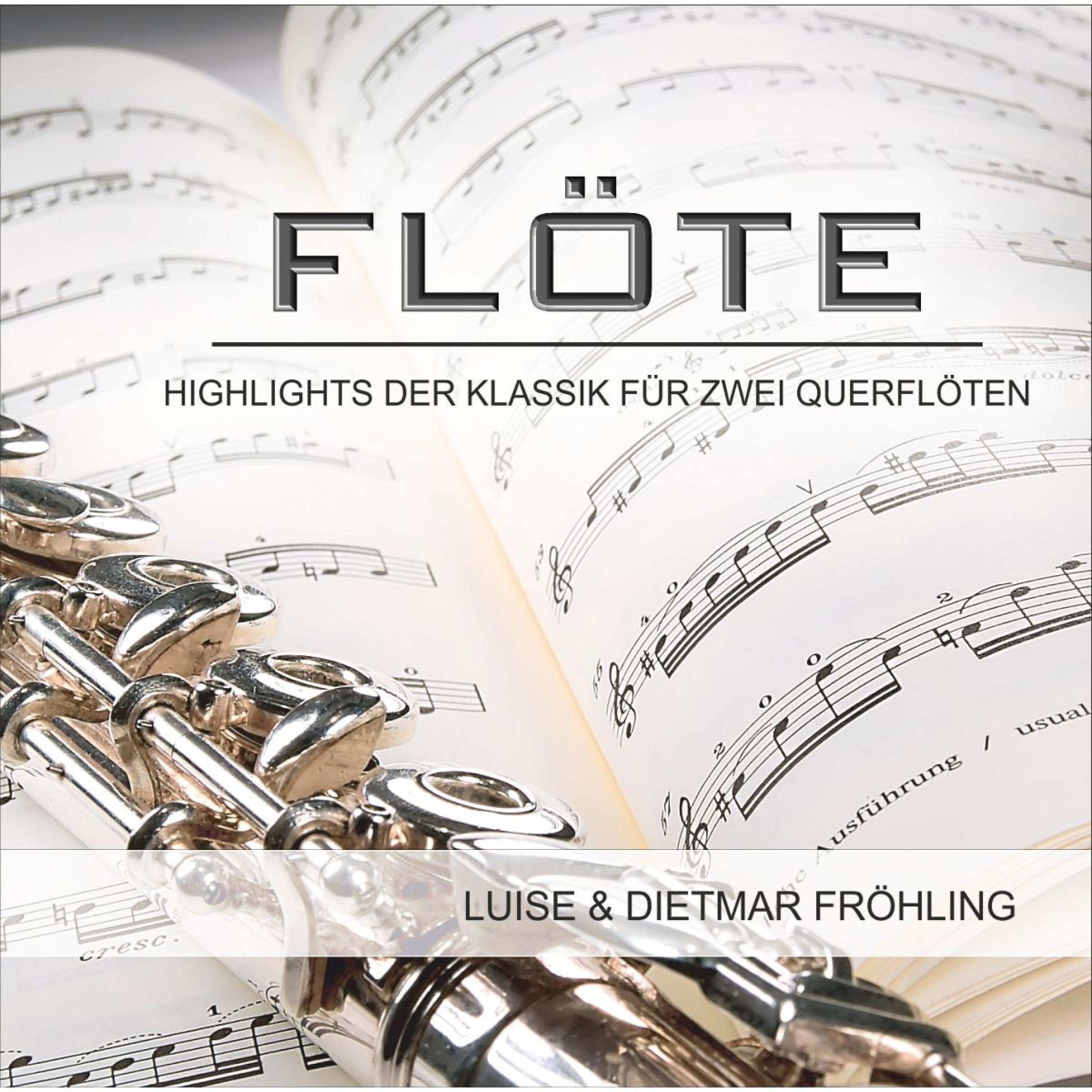 Постер альбома Mozart, Rossini, Bizet, Weber & Kuhlau: Flöte - Highlights der Klassik für zwei Querflöten