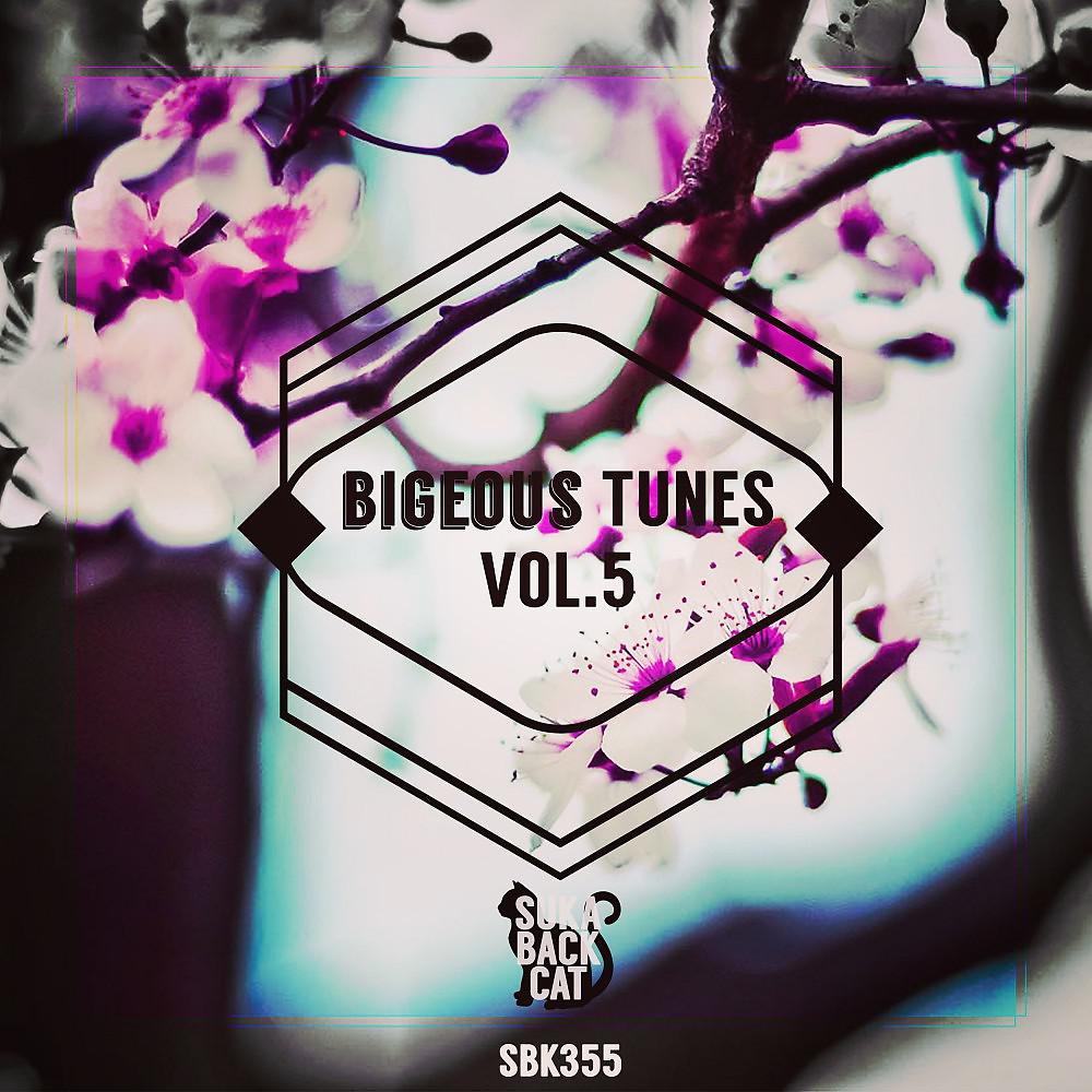 Постер альбома Bigeous Tunes, Vol. 5